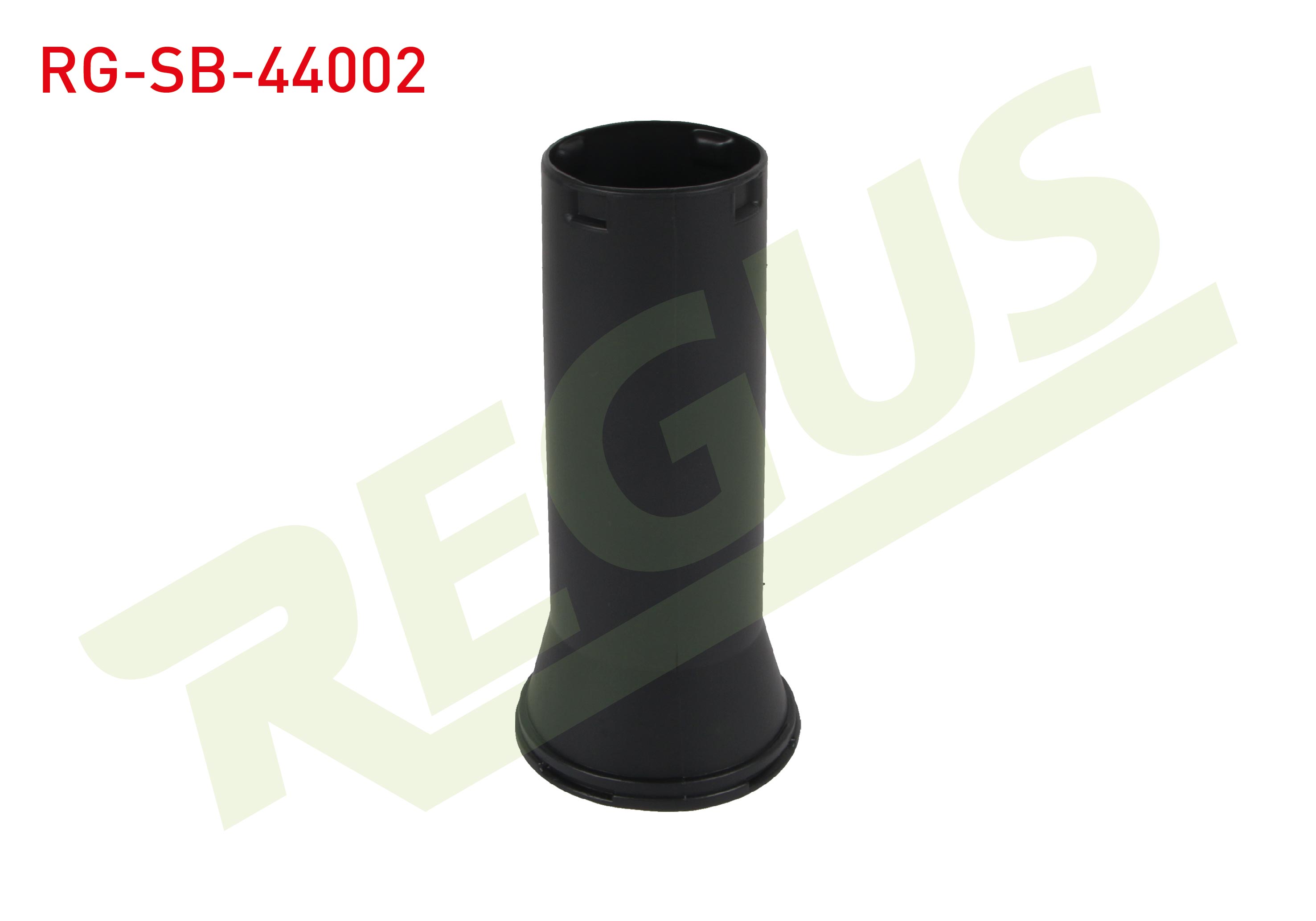 REGUS 