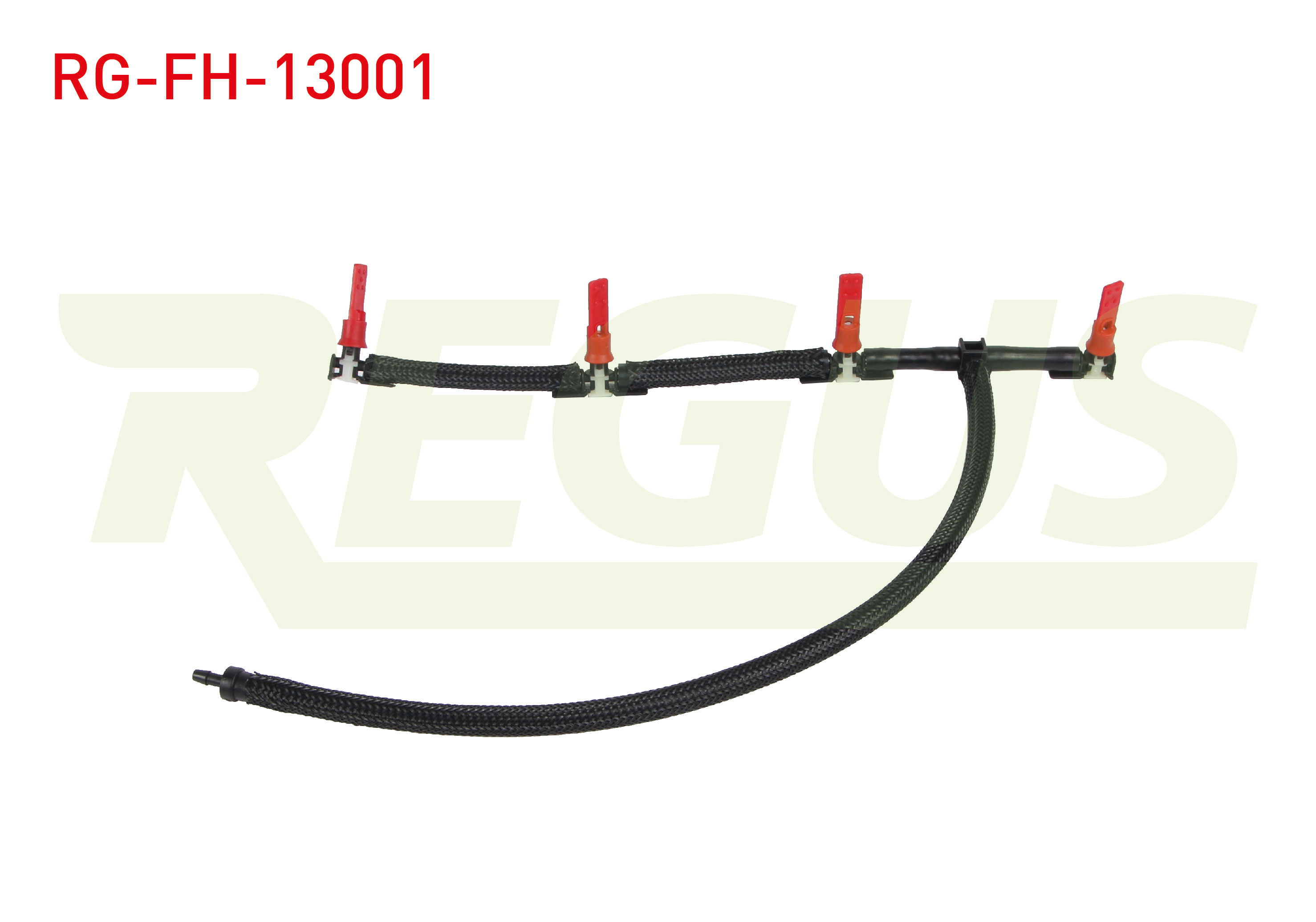 REGUS 