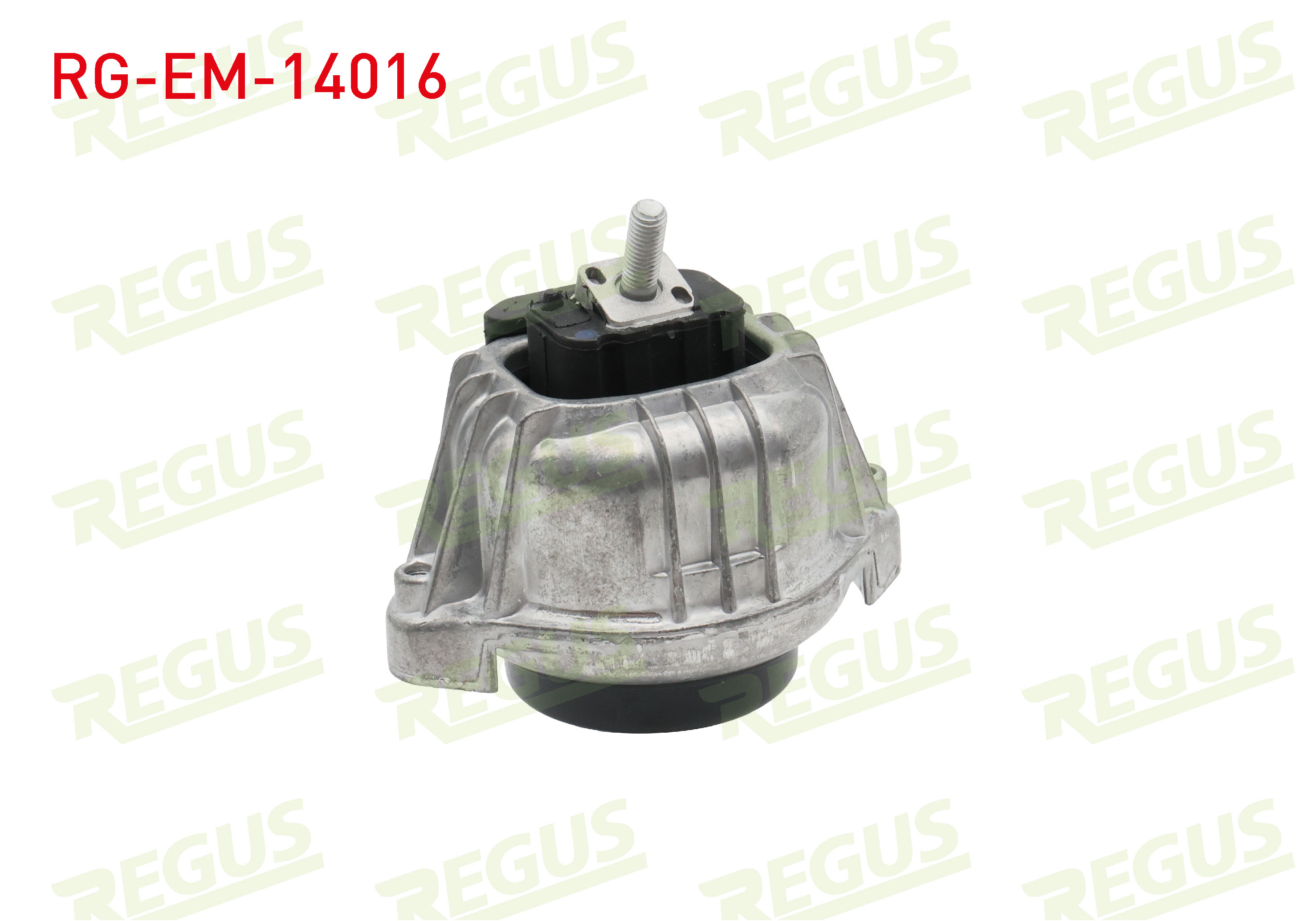 REGUS 31015
