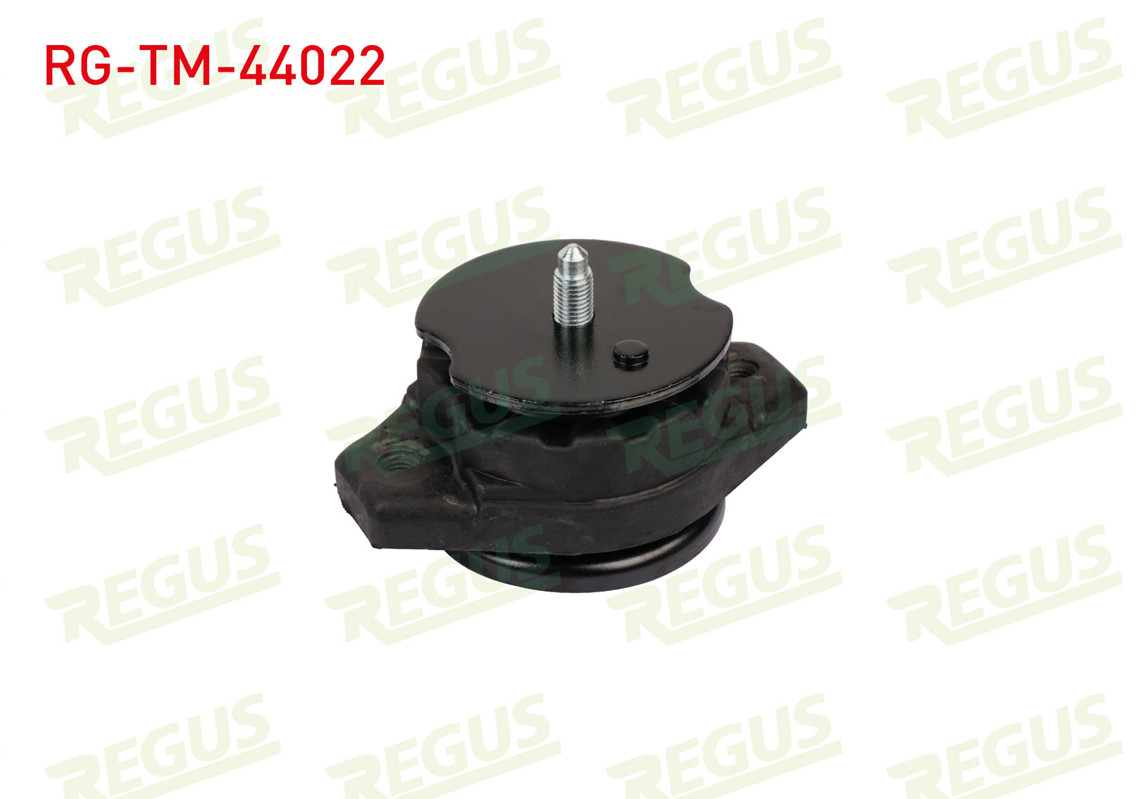 REGUS 62-05370
