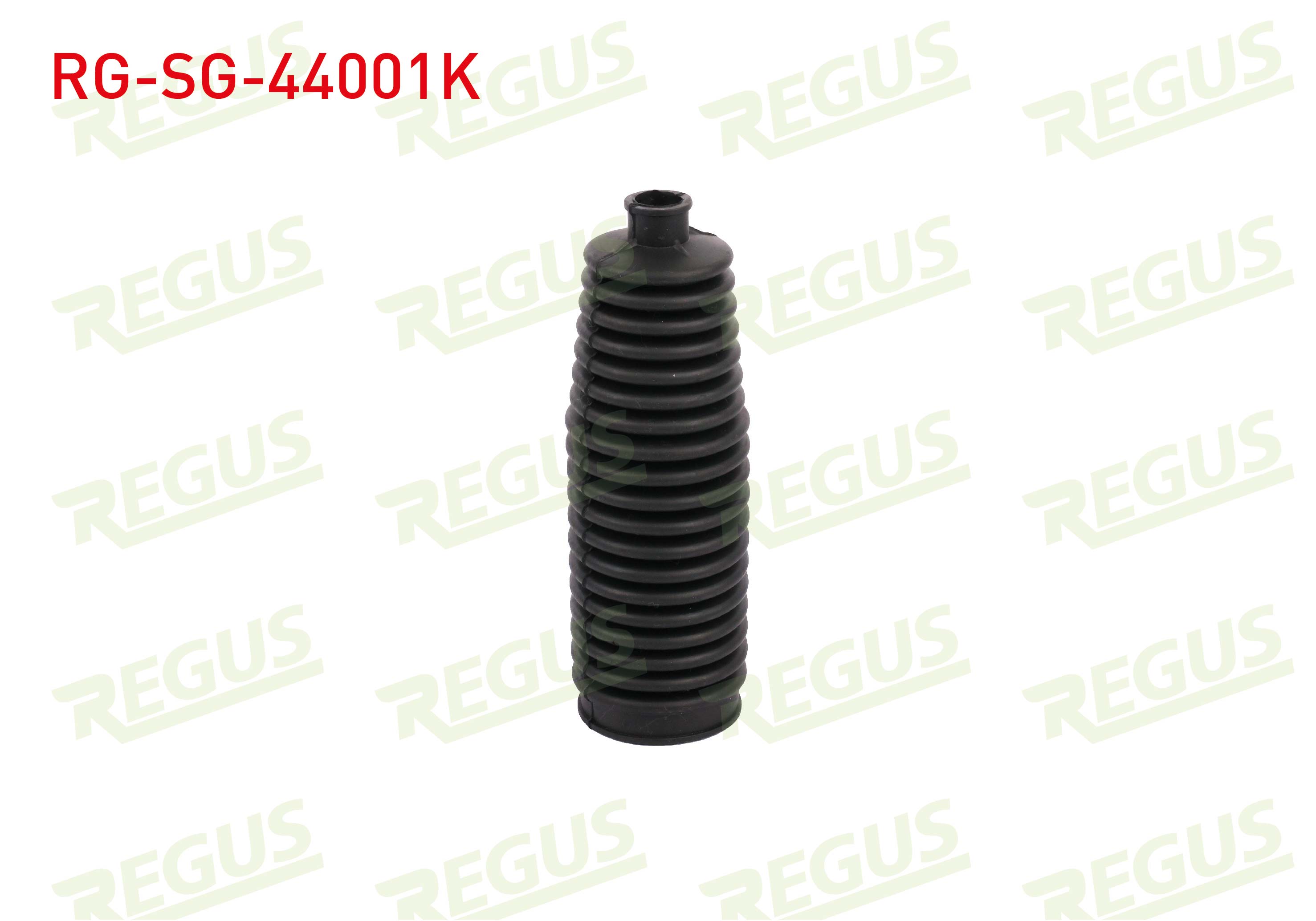REGUS 