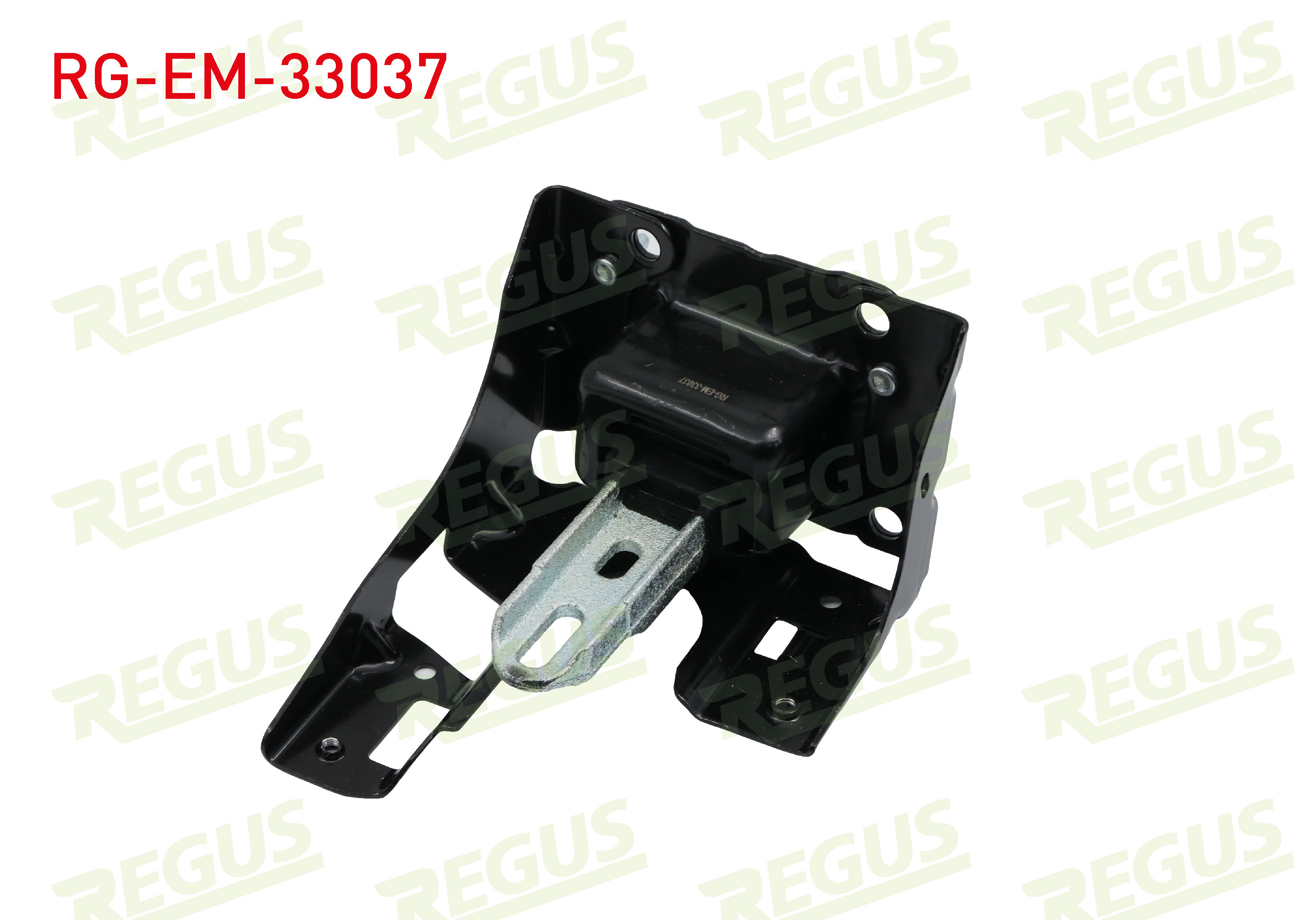 REGUS 61-13431