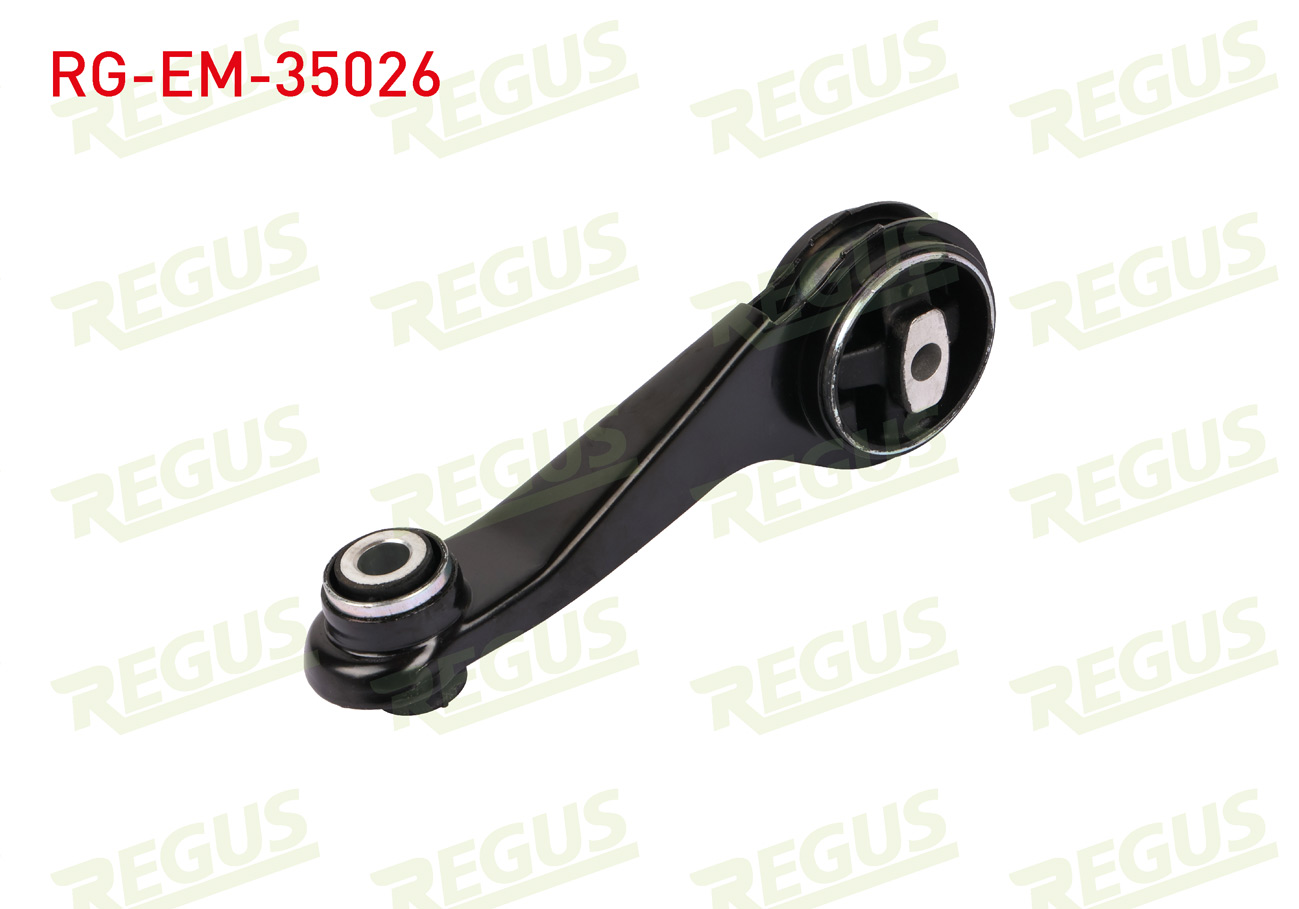 REGUS 