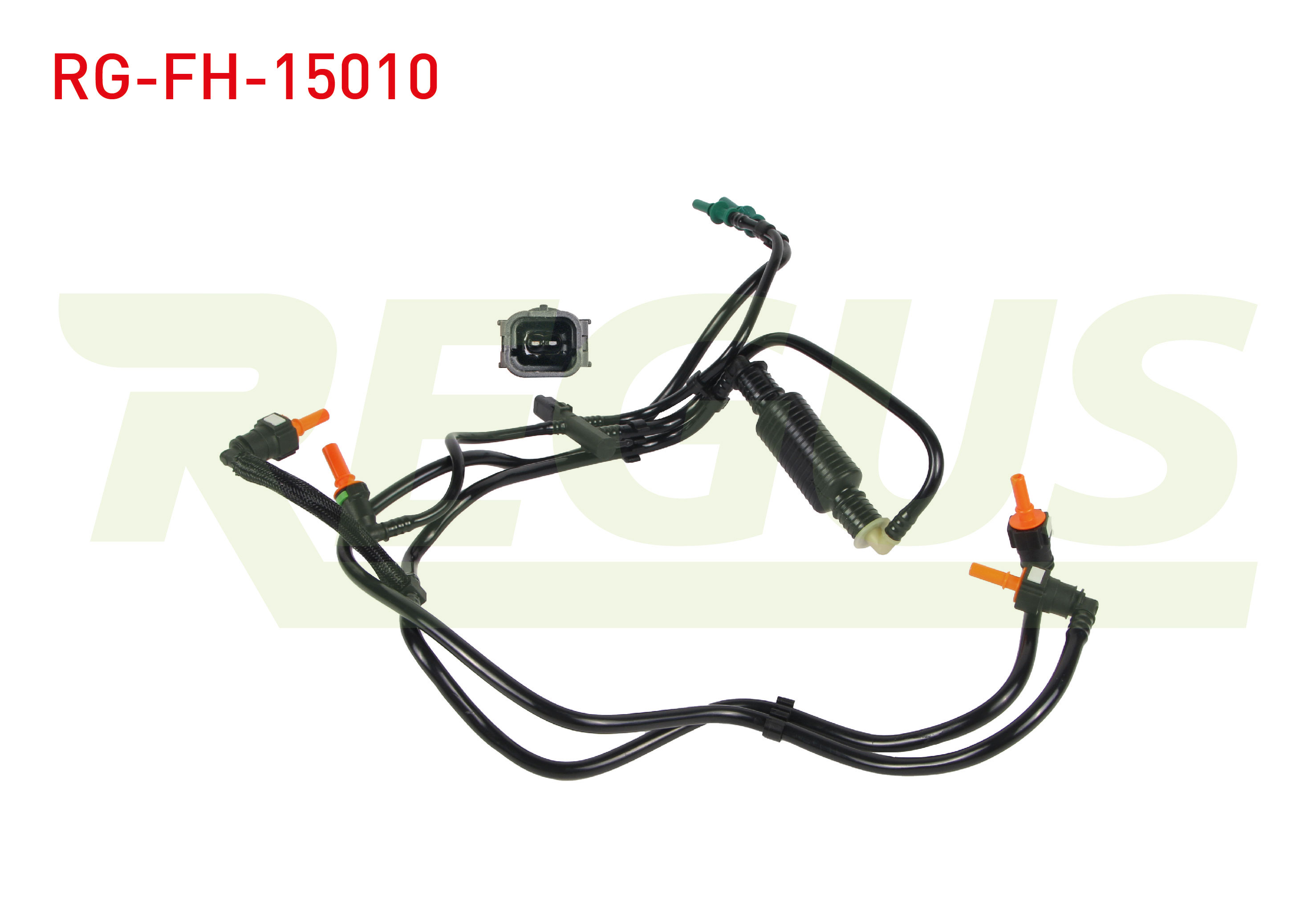 REGUS 17645