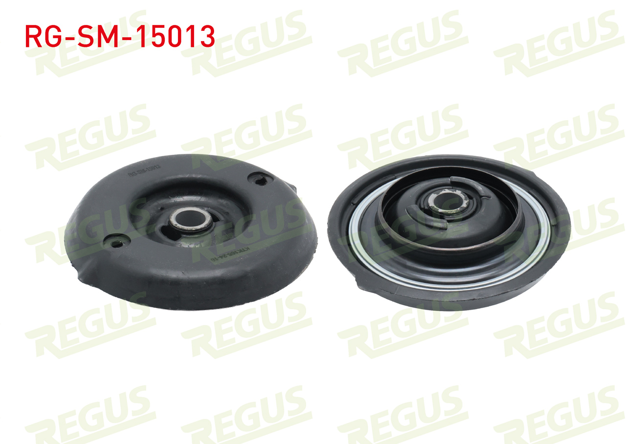 REGUS 63-06019