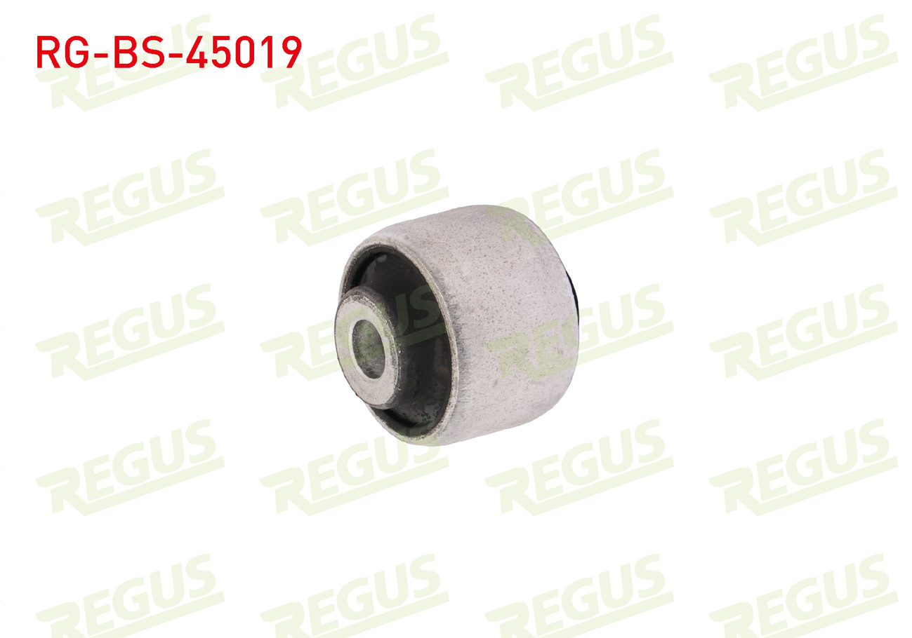 REGUS 57-06528