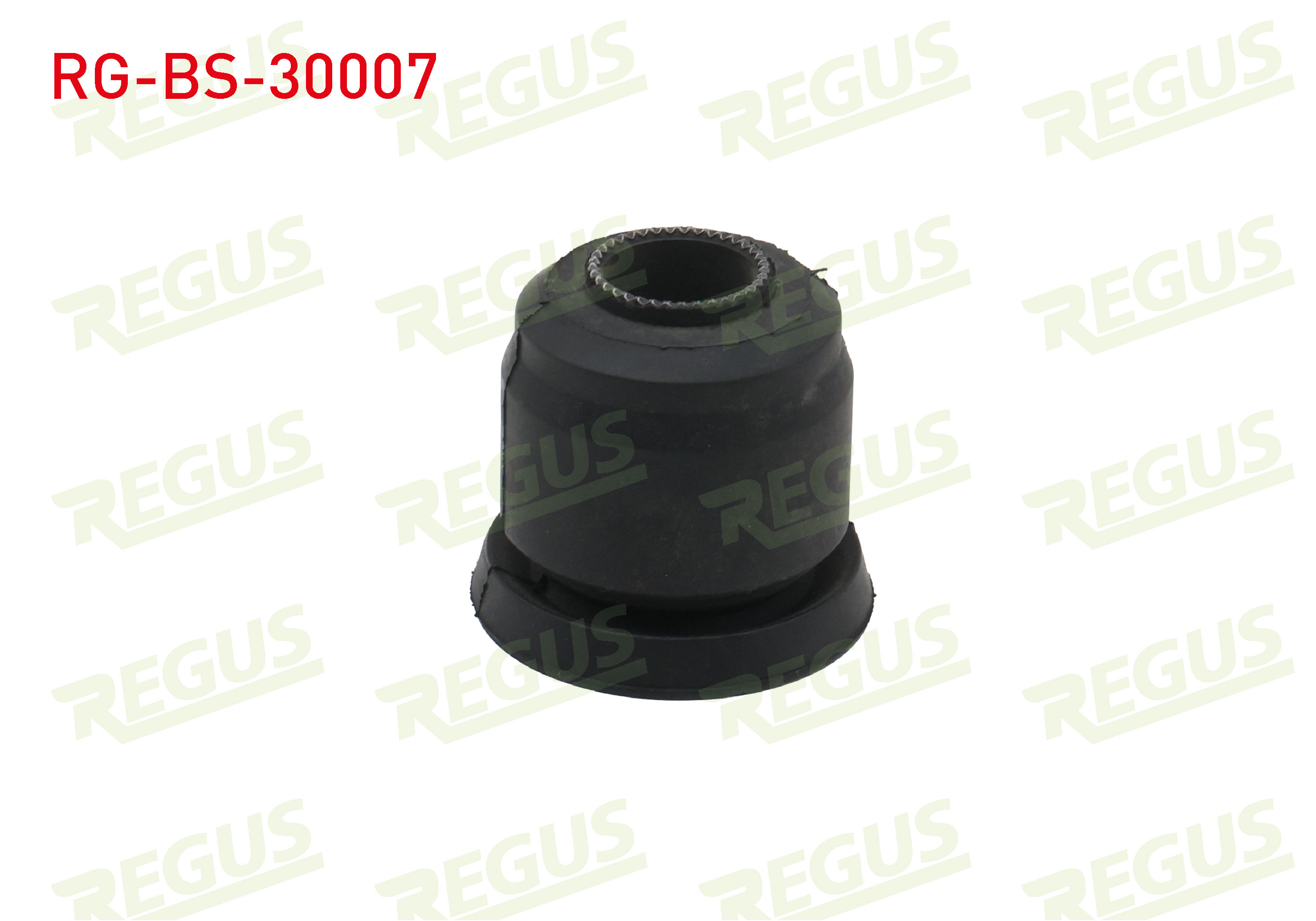 REGUS 