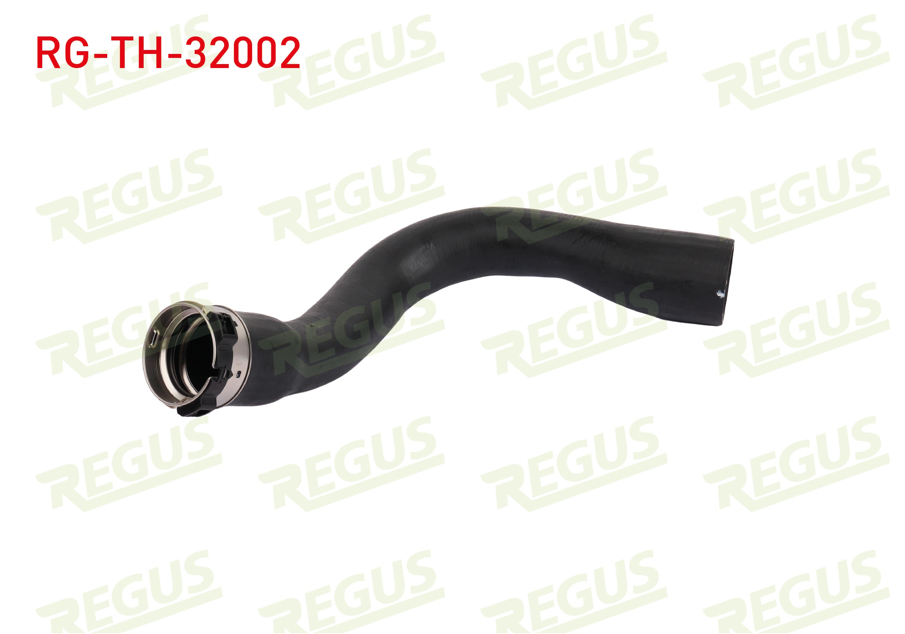 REGUS 21606