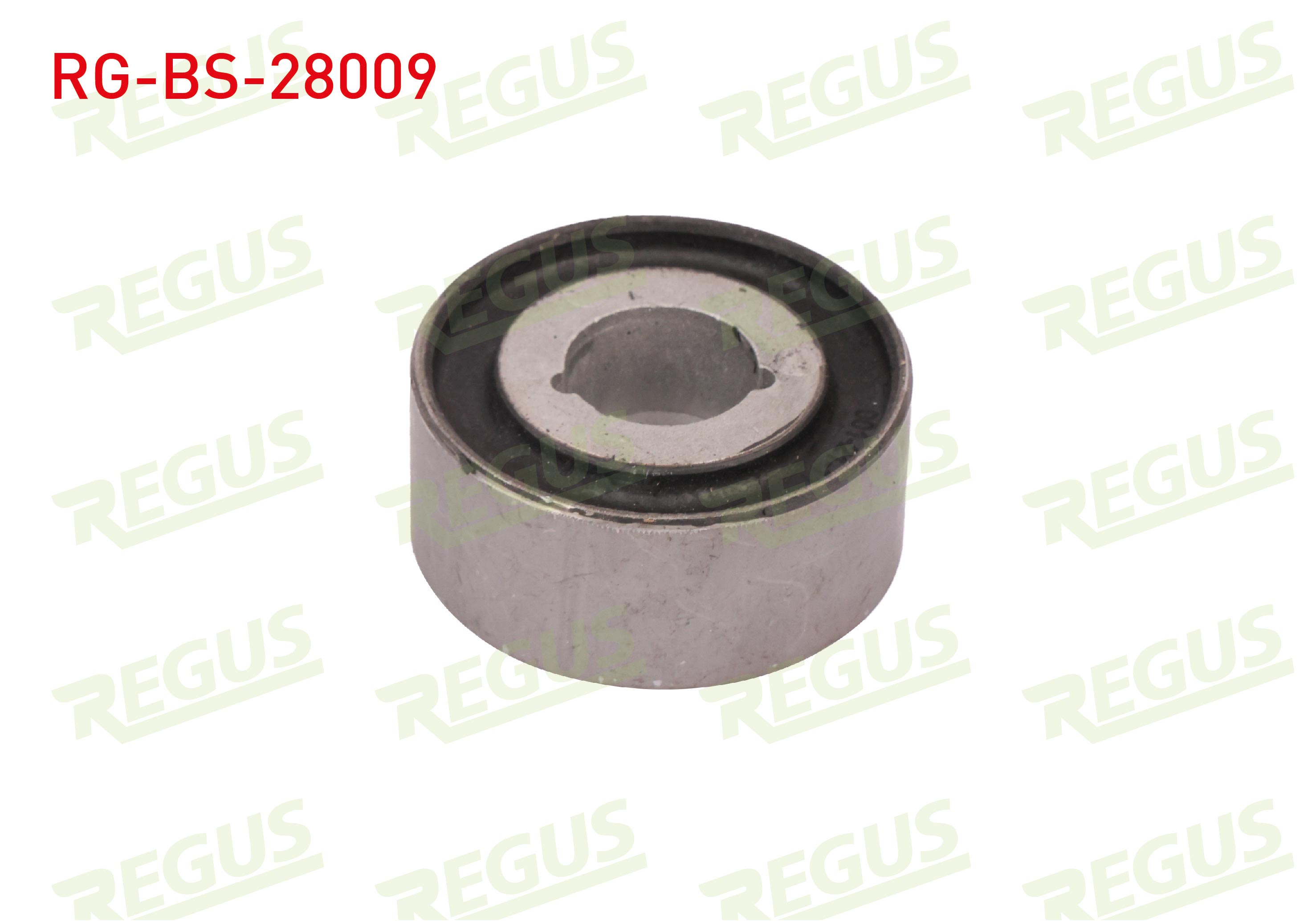 REGUS 12399