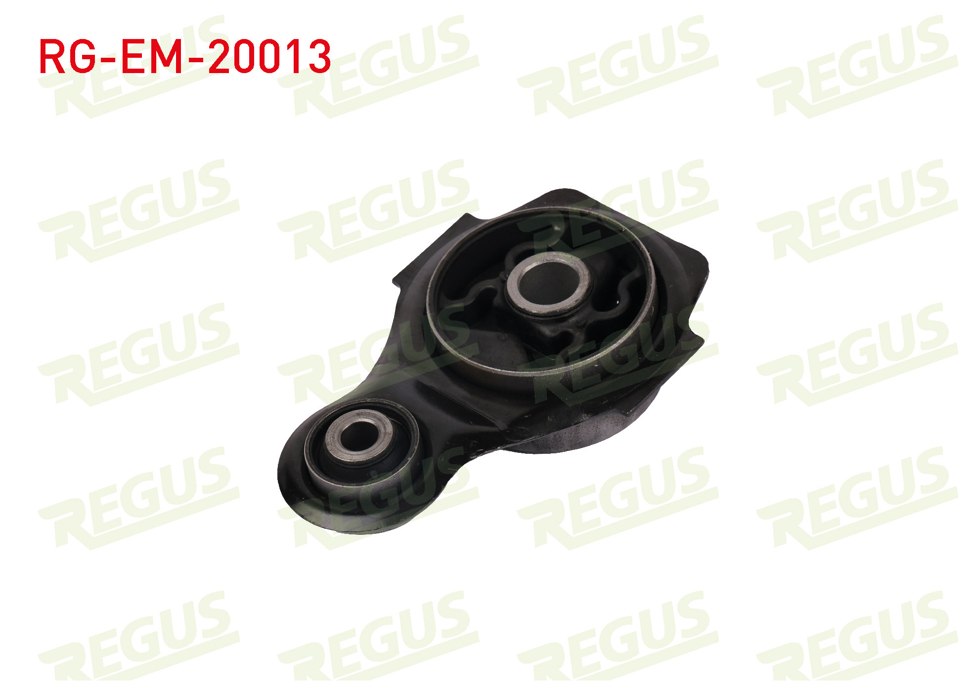 REGUS 61-10891