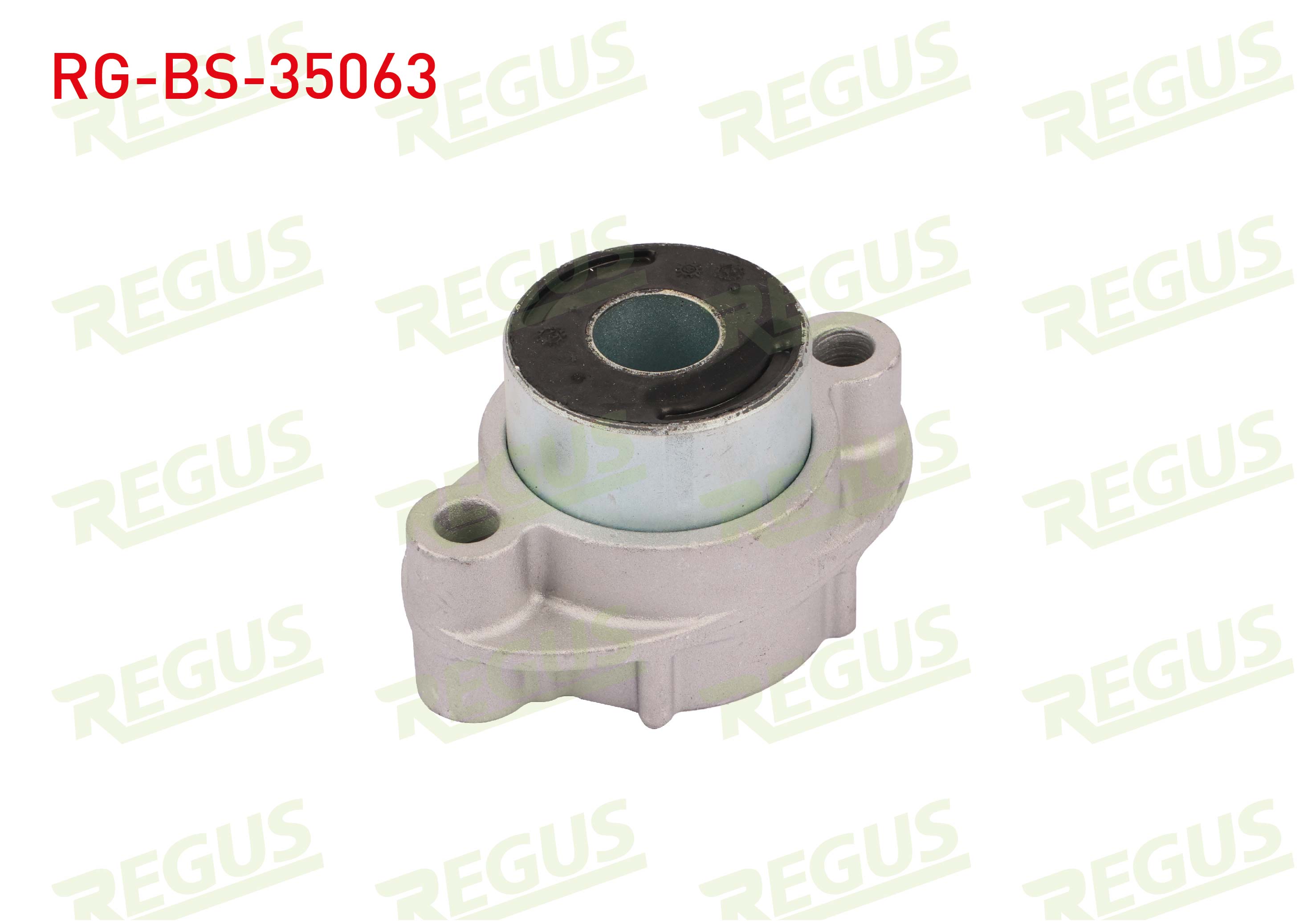 REGUS 21655