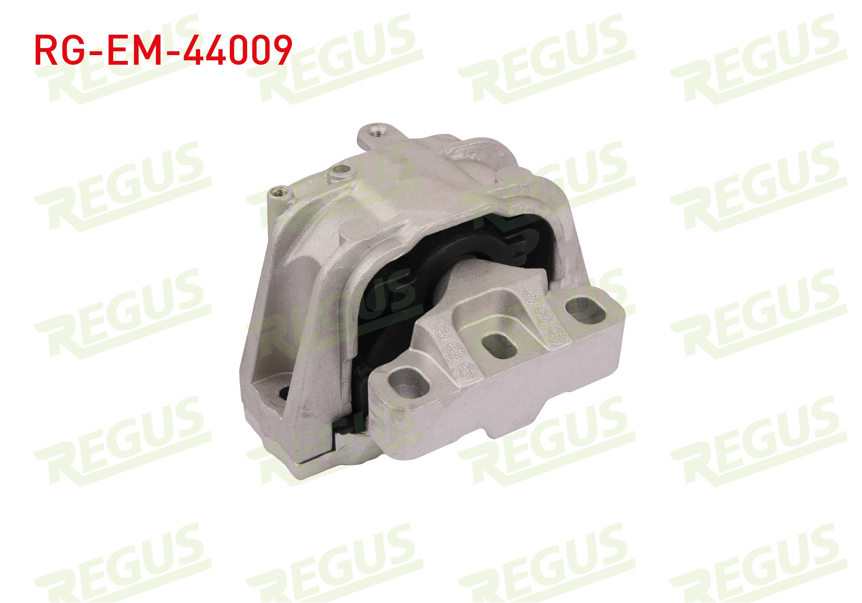 REGUS 31376