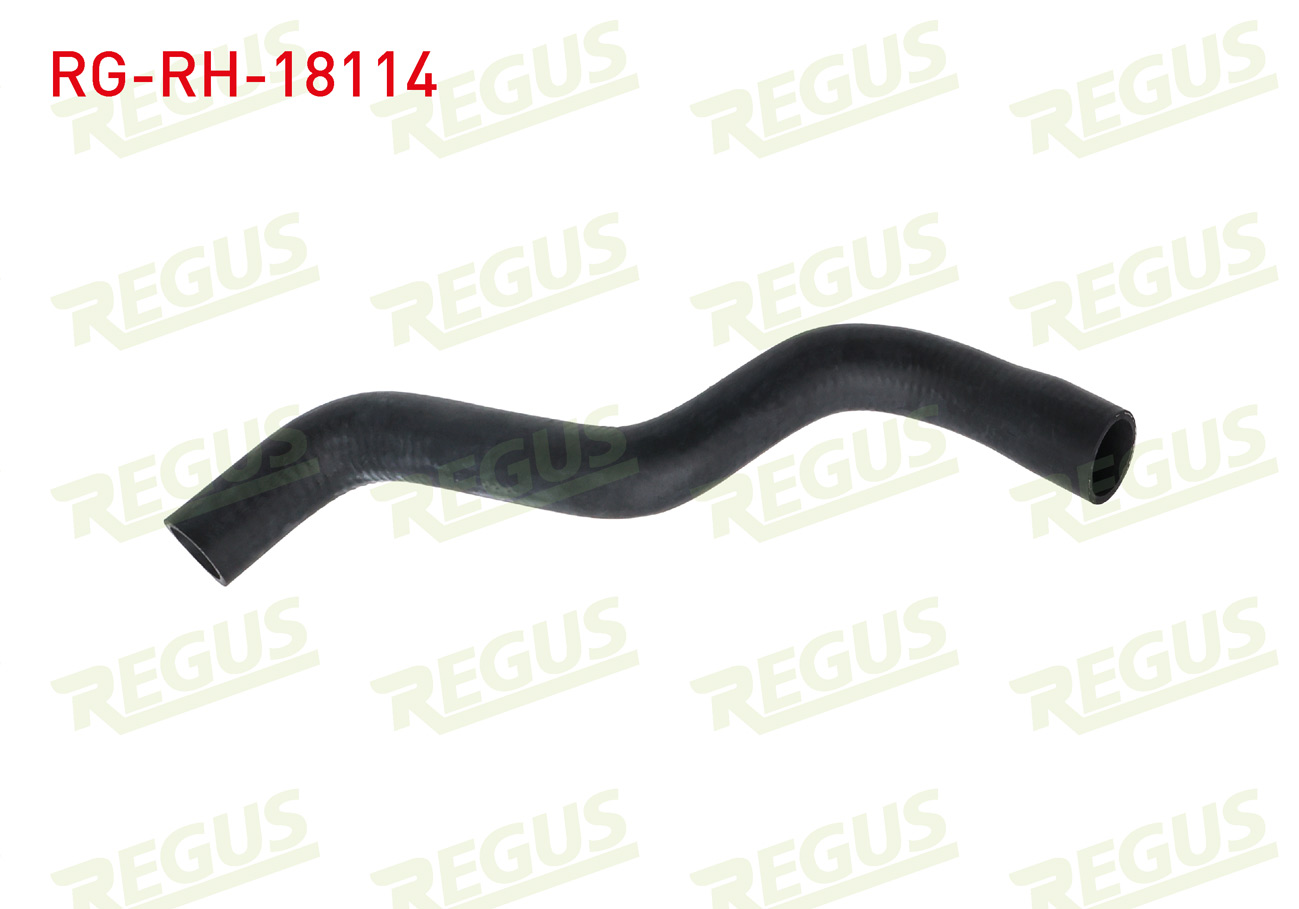 REGUS 15424