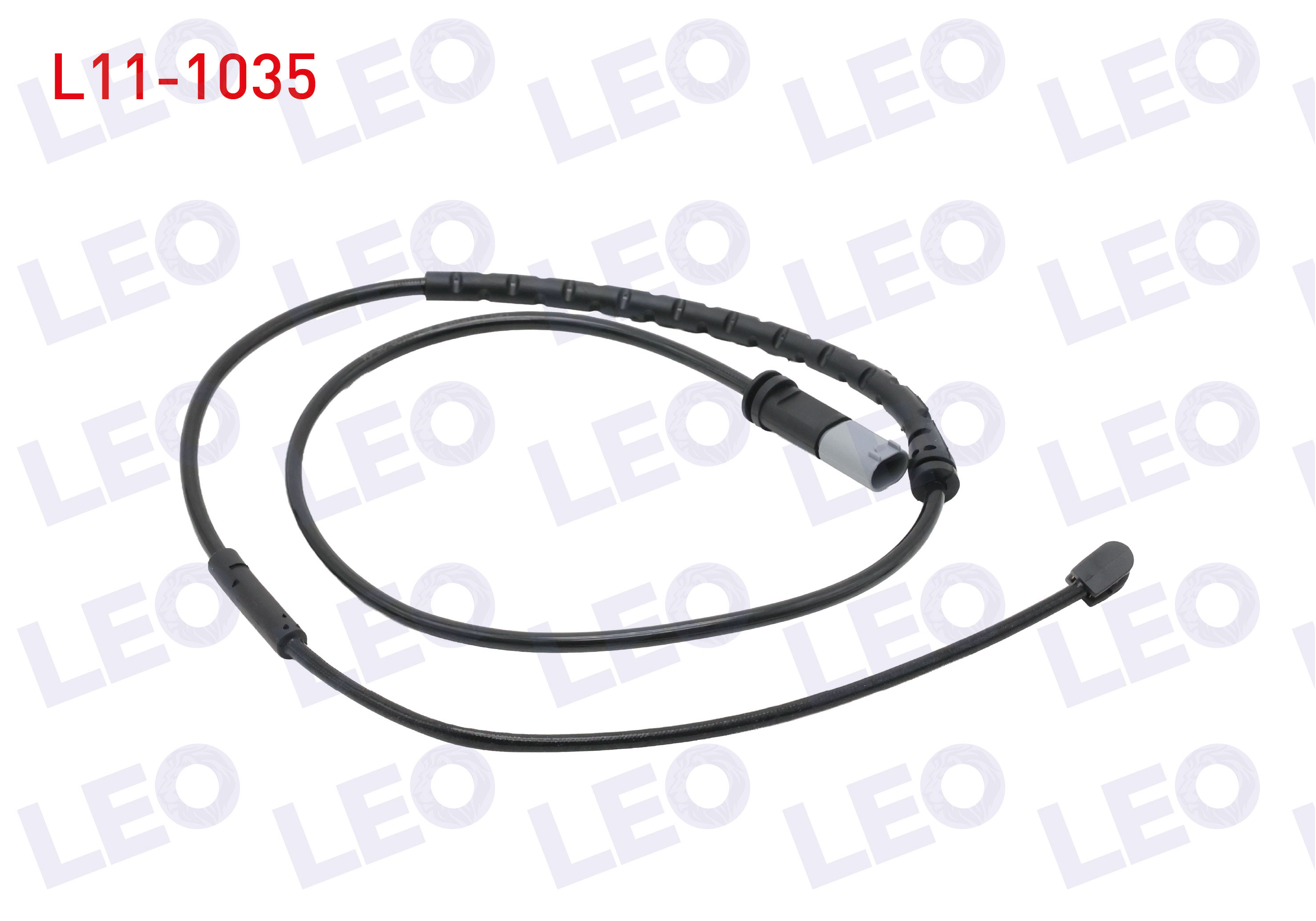 LEO 