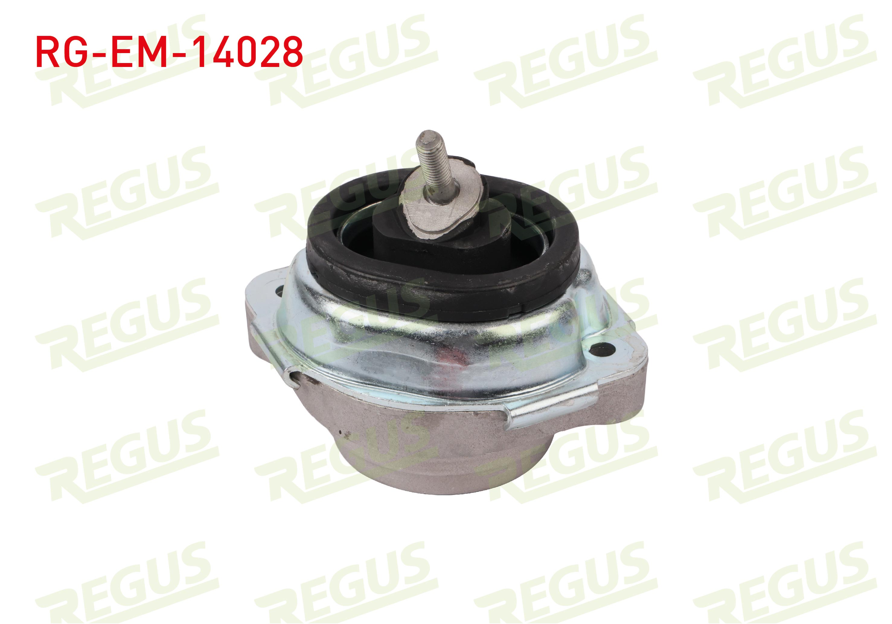 REGUS  | MOTOR TAKOZU ON SOL-SAG BMW X5 (E53) 3.0i 2000-2007
