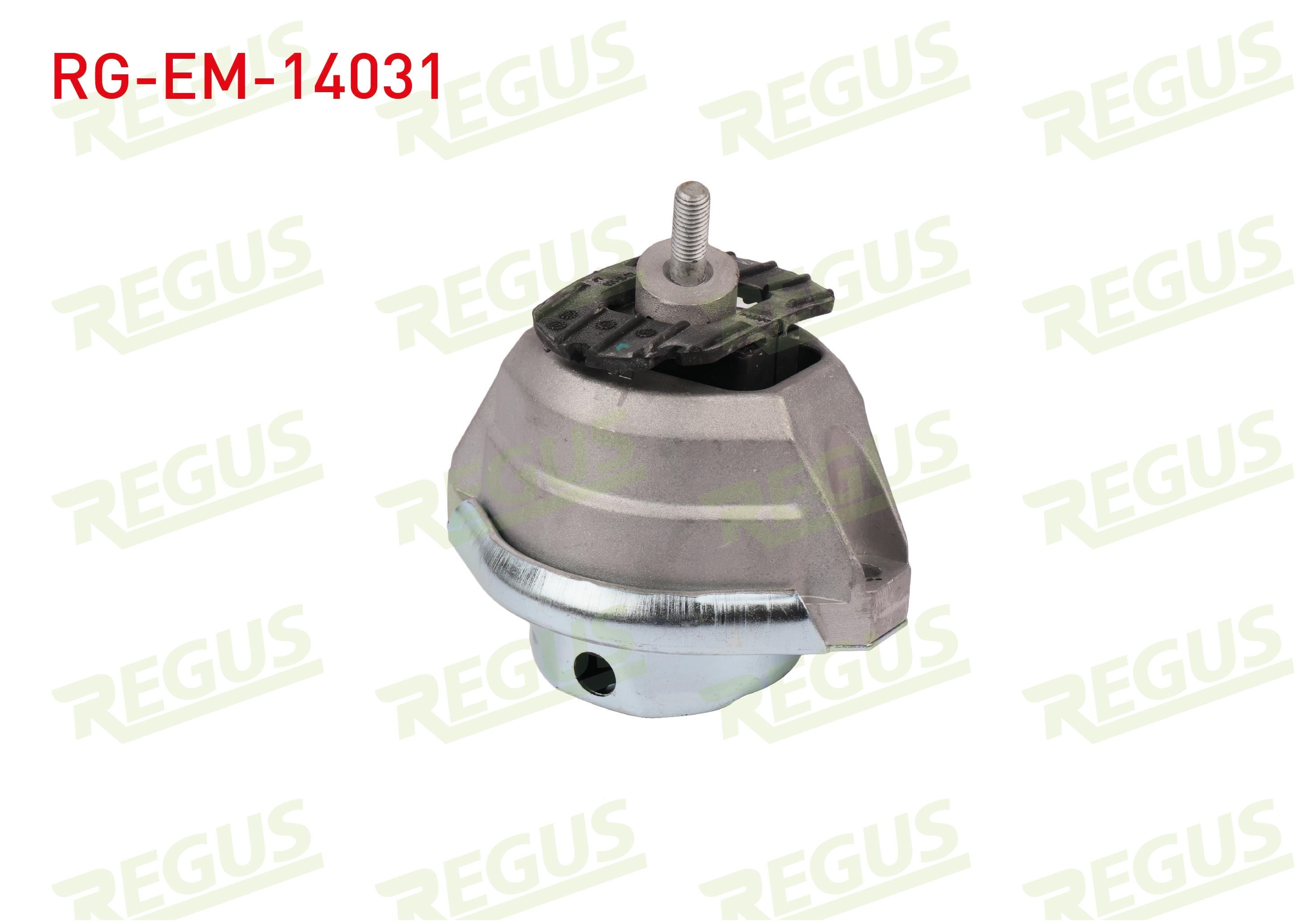 REGUS 24531 | MOTOR TAKOZU ON SAG YAGLI BMW 5 SERISI (E60) 550 i 2003-2010
