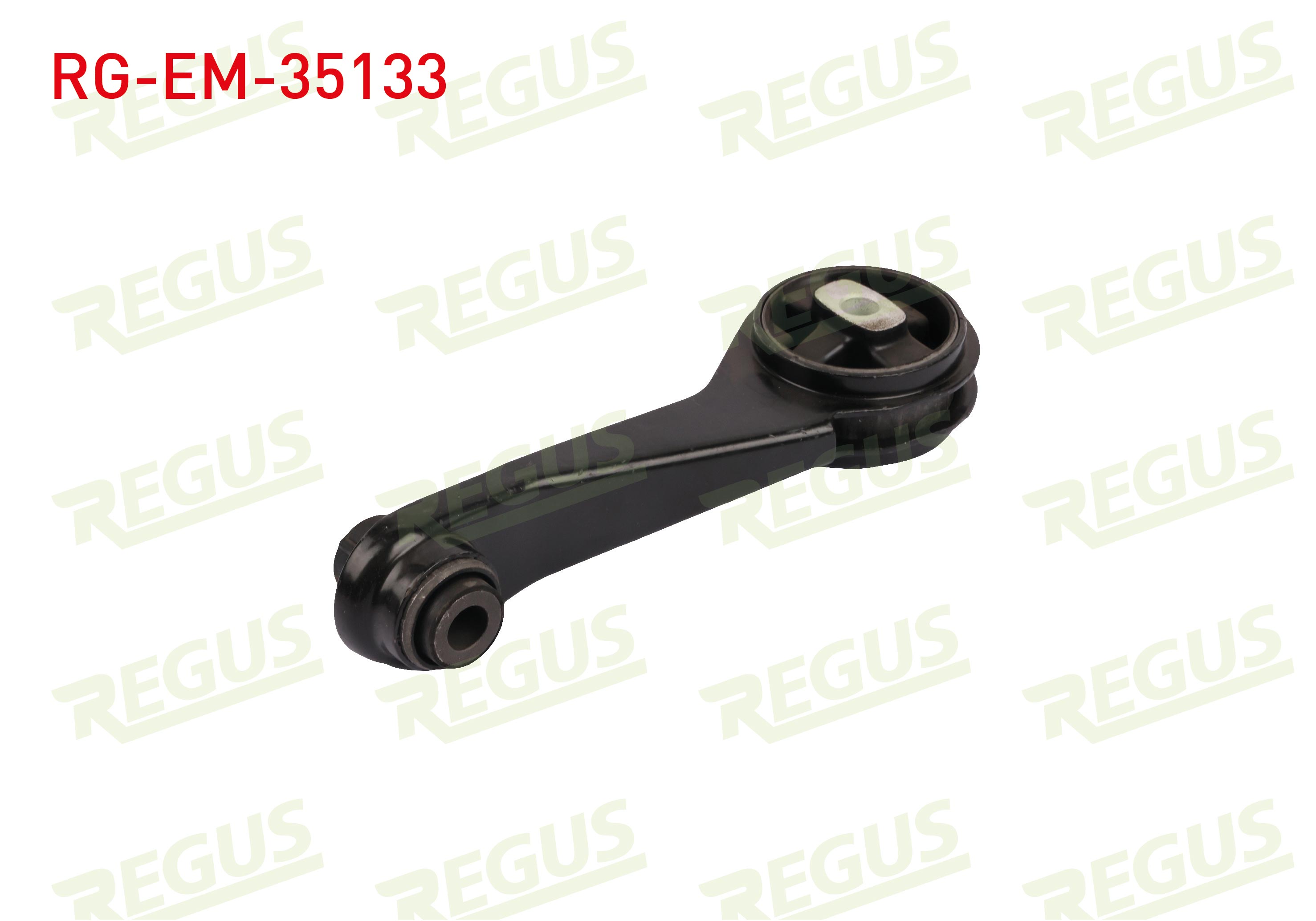 REGUS  | MOTOR TAKOZU ARKA CLIO / KANGOO 1.2