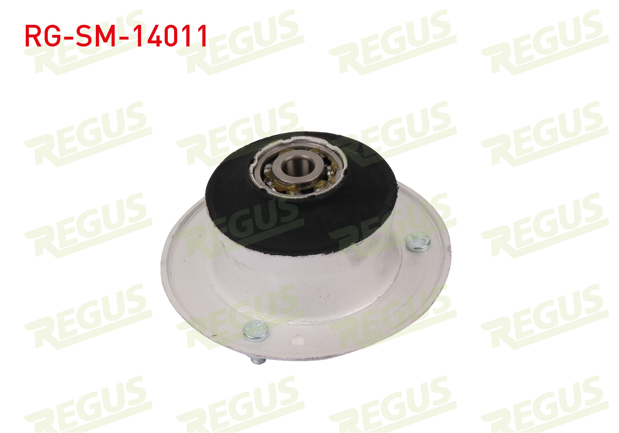 REGUS 12519