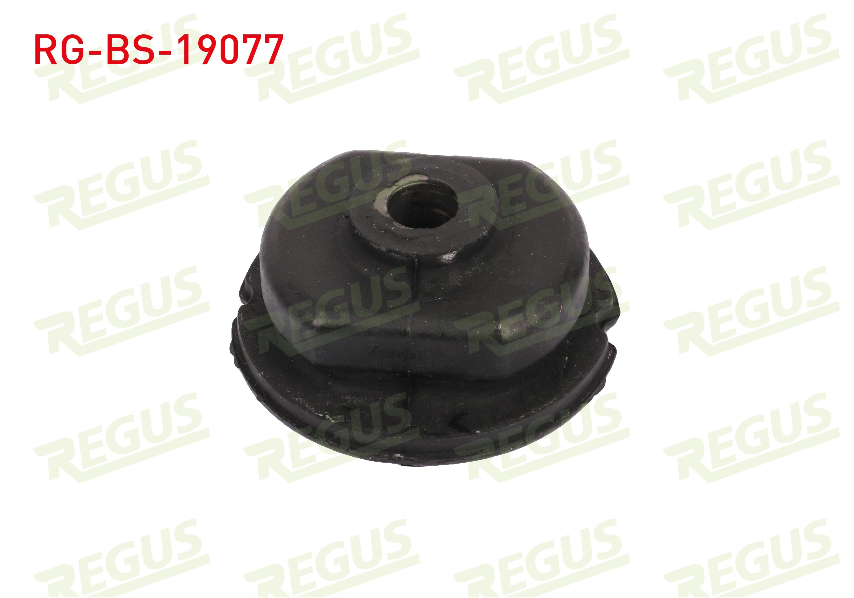 REGUS 64-06051