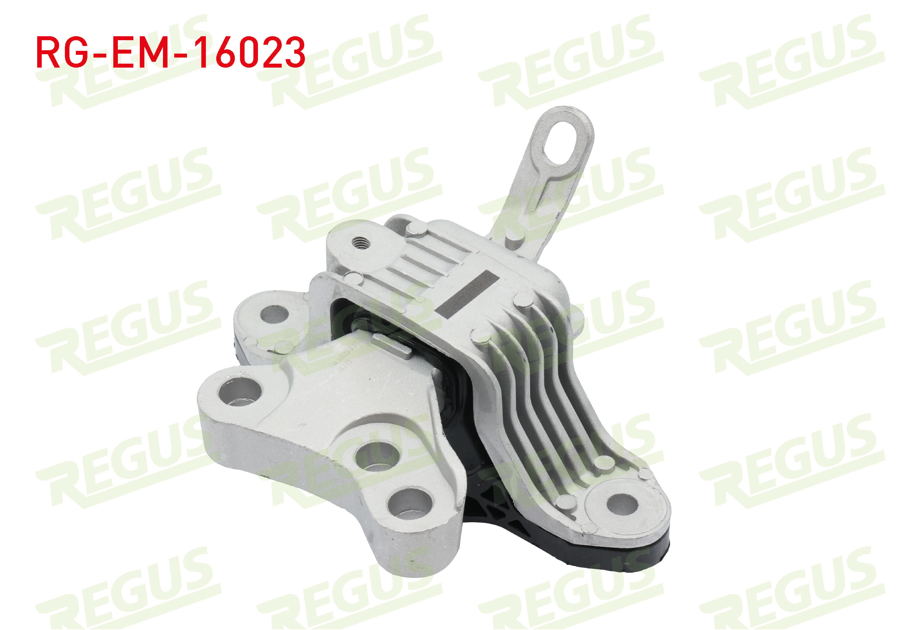 REGUS 