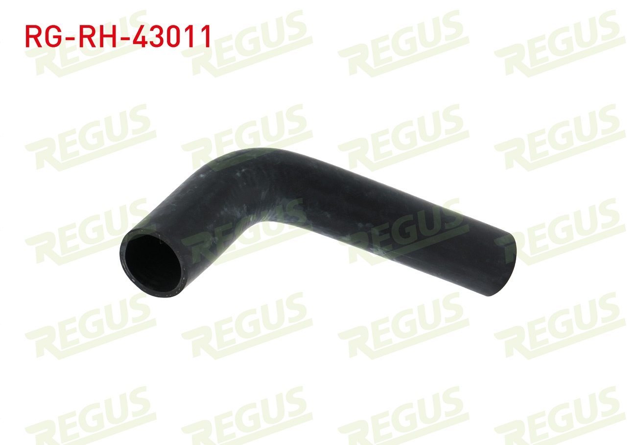 REGUS 22101