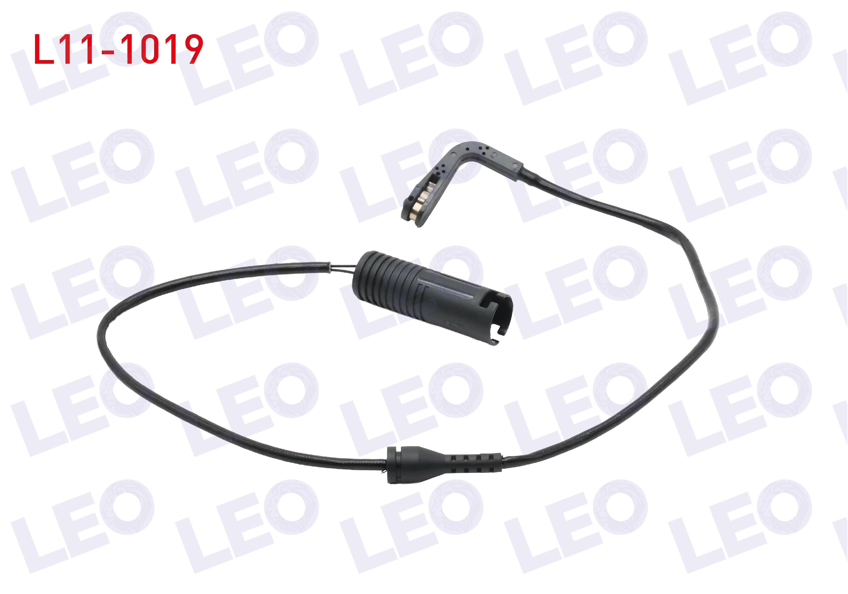 LEO 