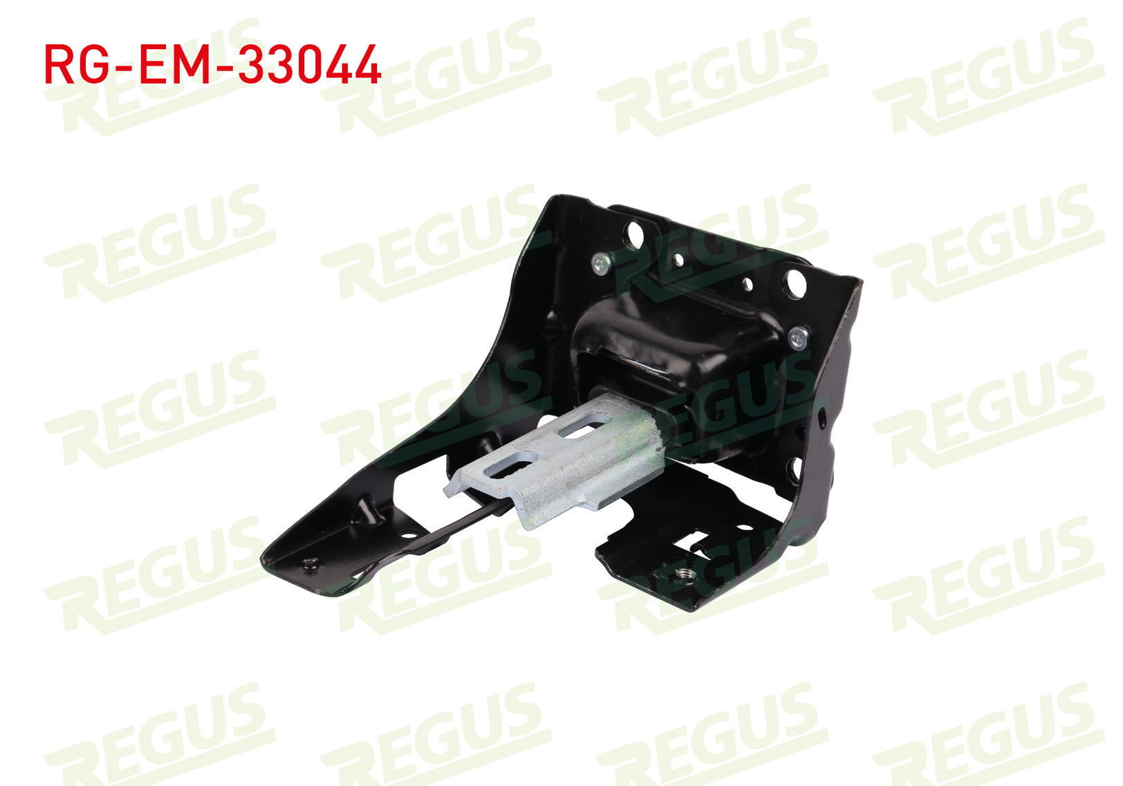 REGUS 