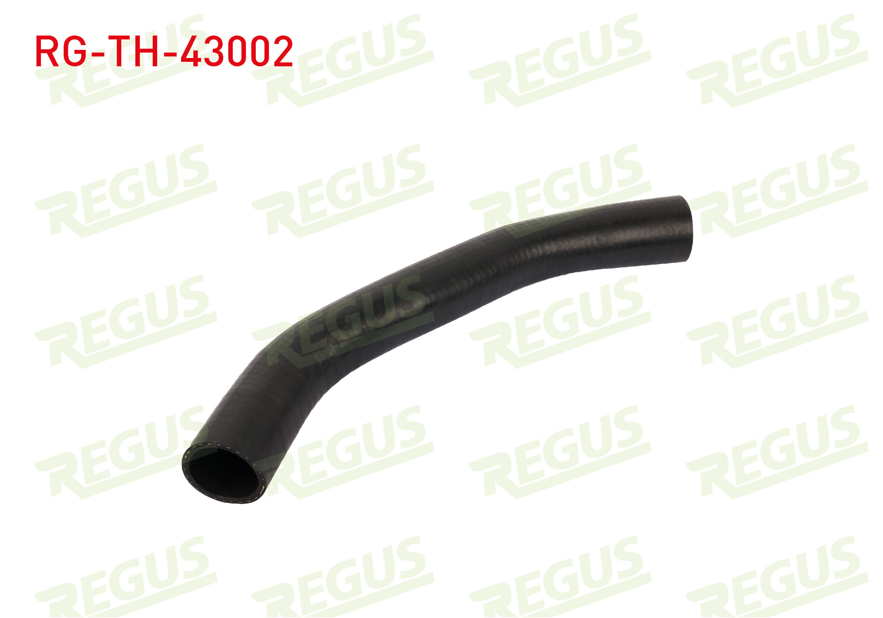 REGUS 