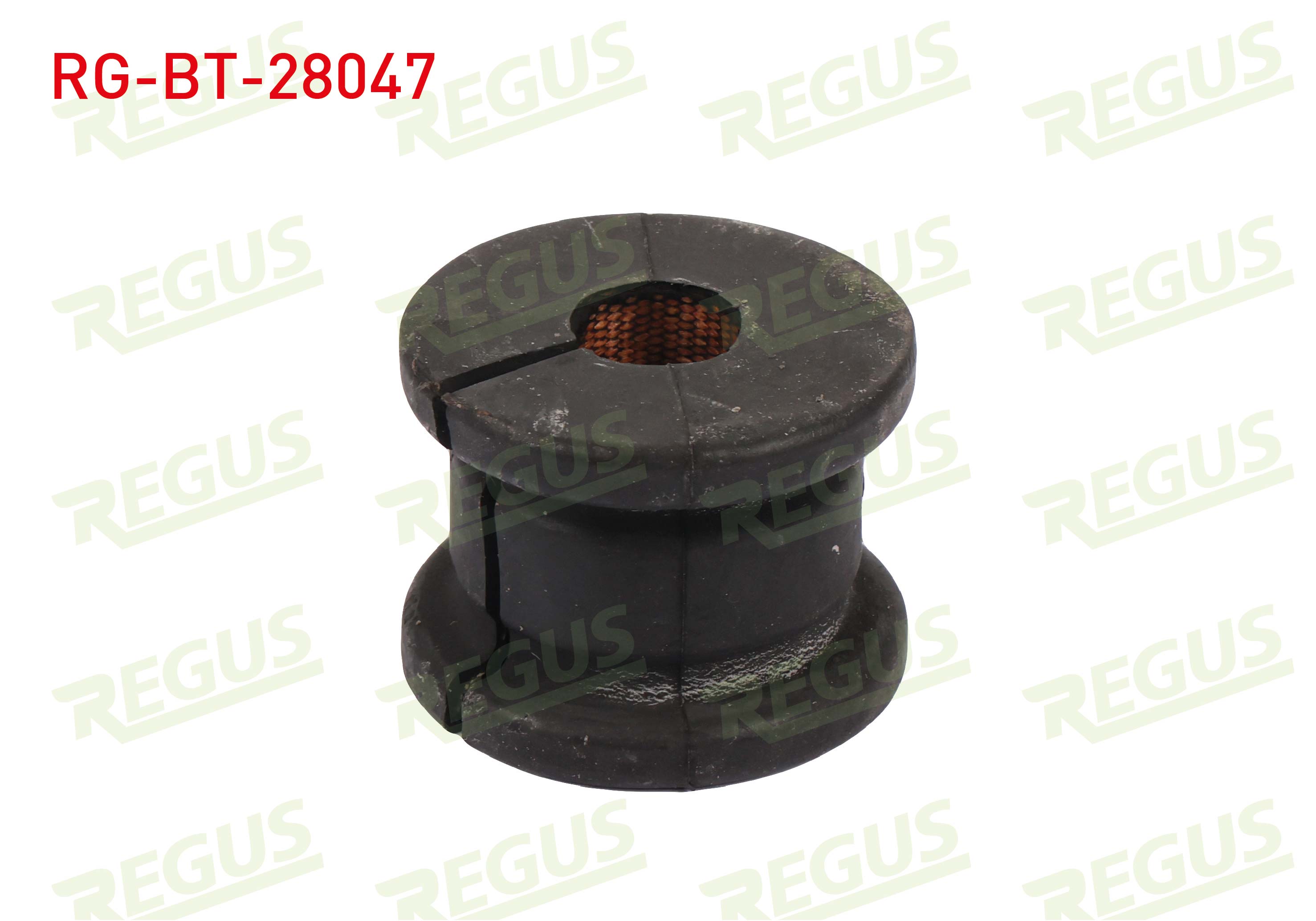 REGUS 65-13716