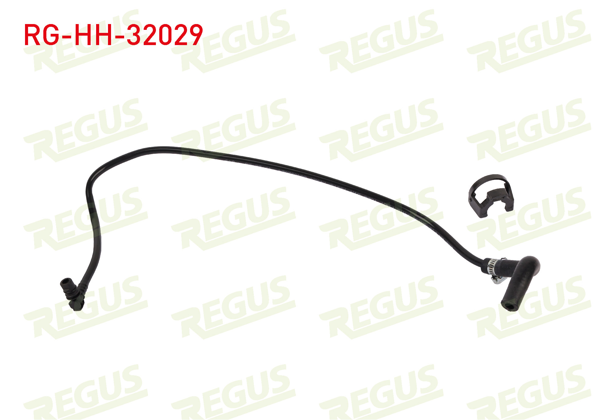 REGUS 21618