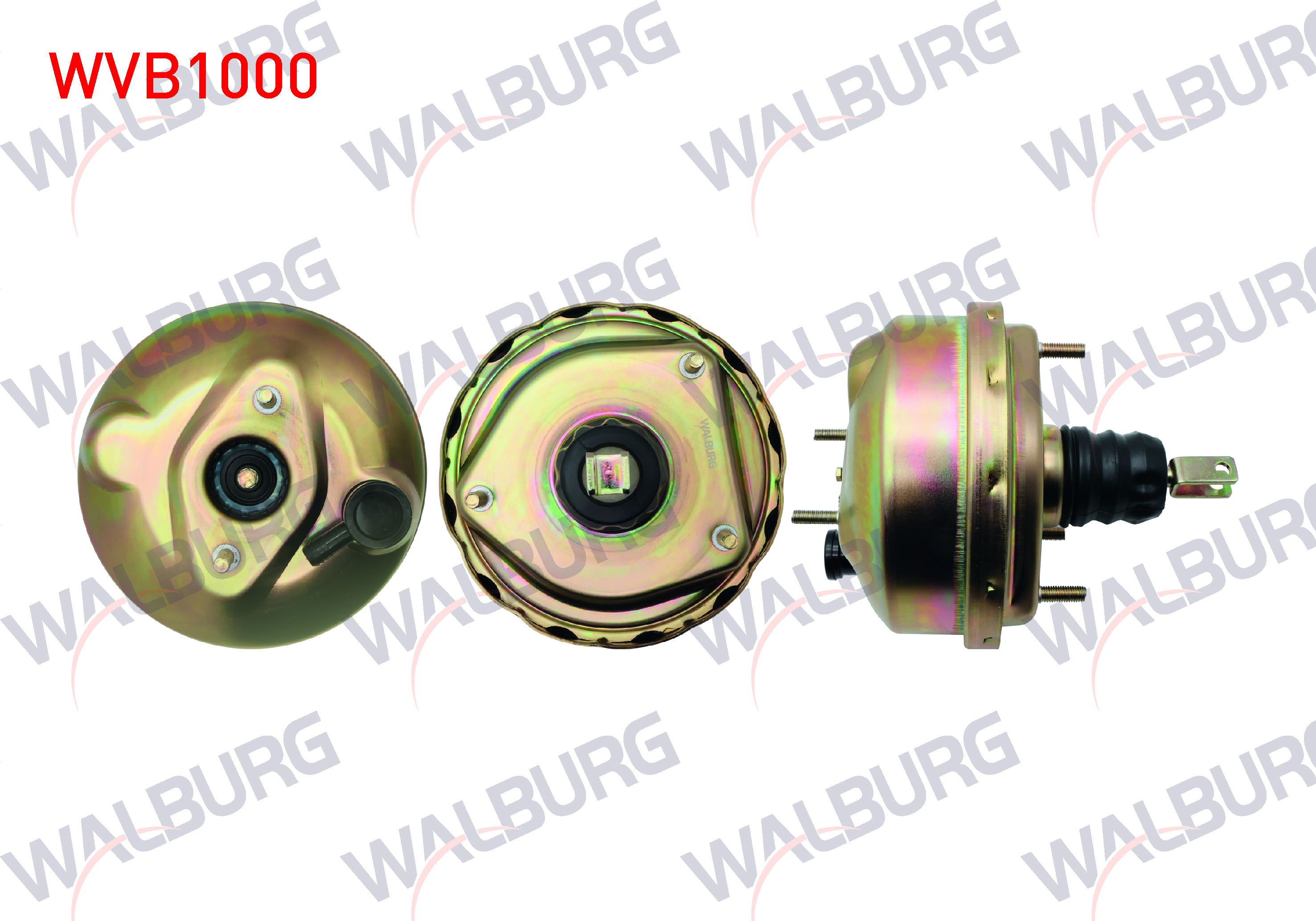 WALBURG 