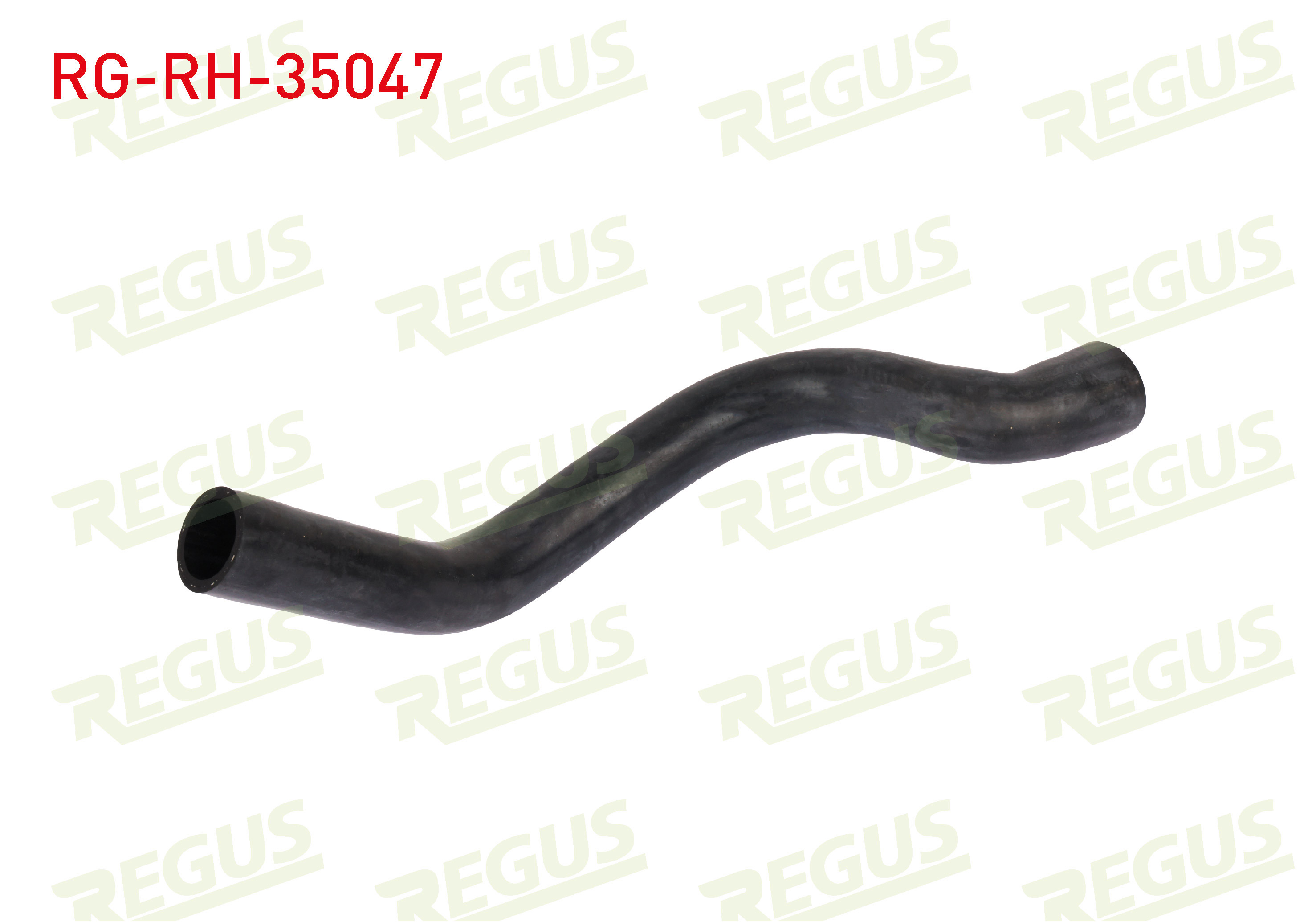 REGUS 11232