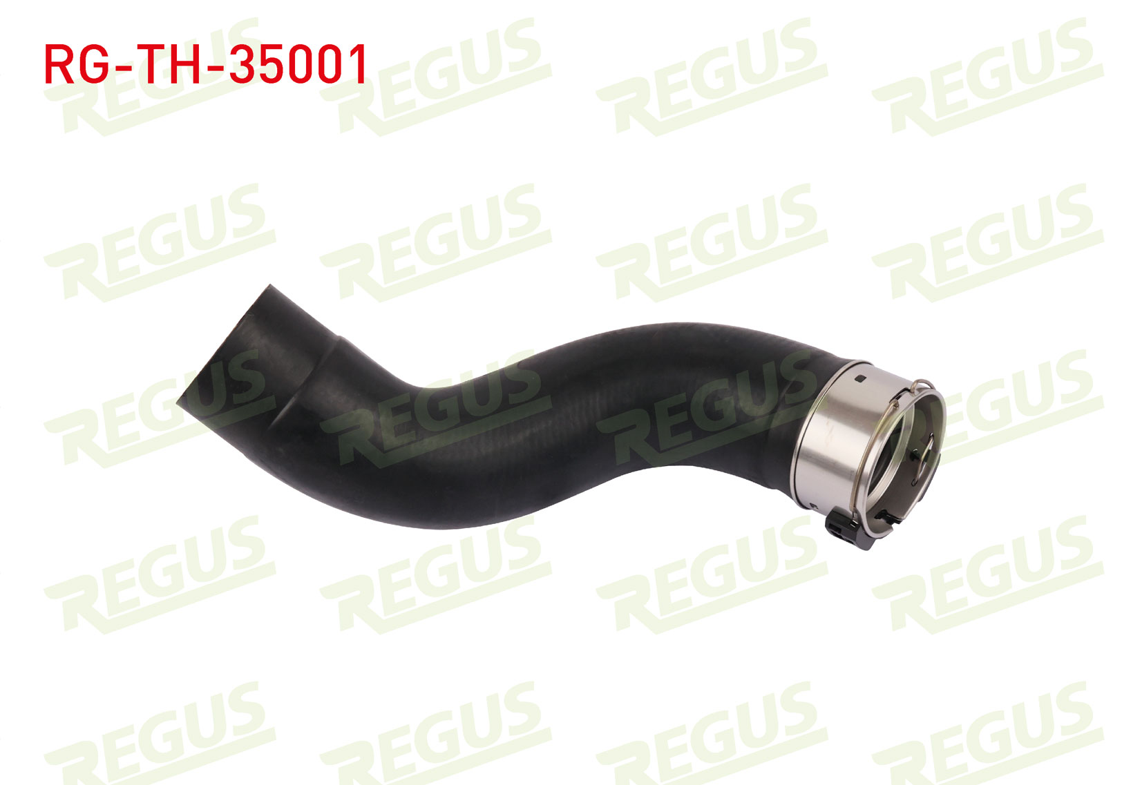REGUS 11194