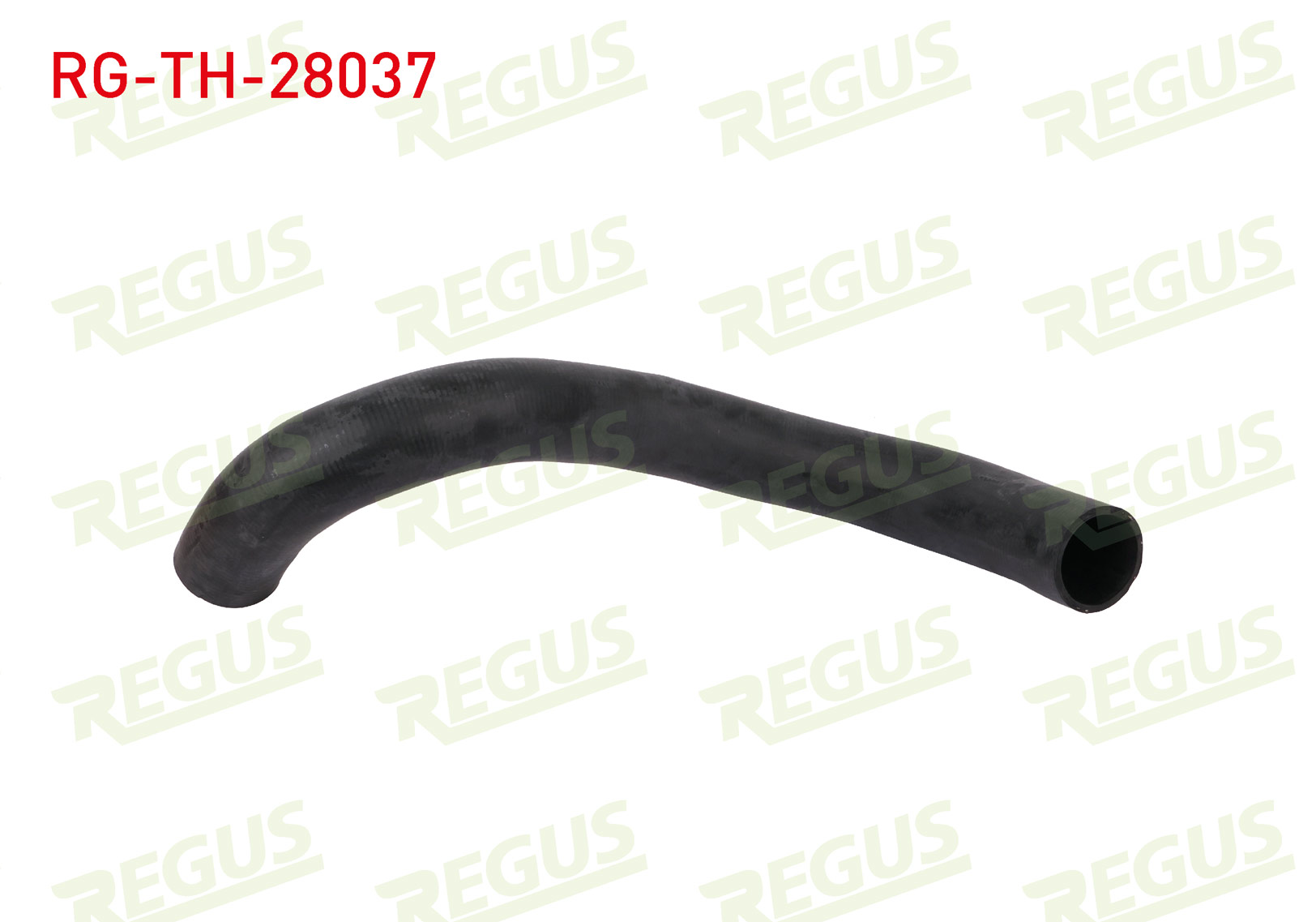 REGUS 33407