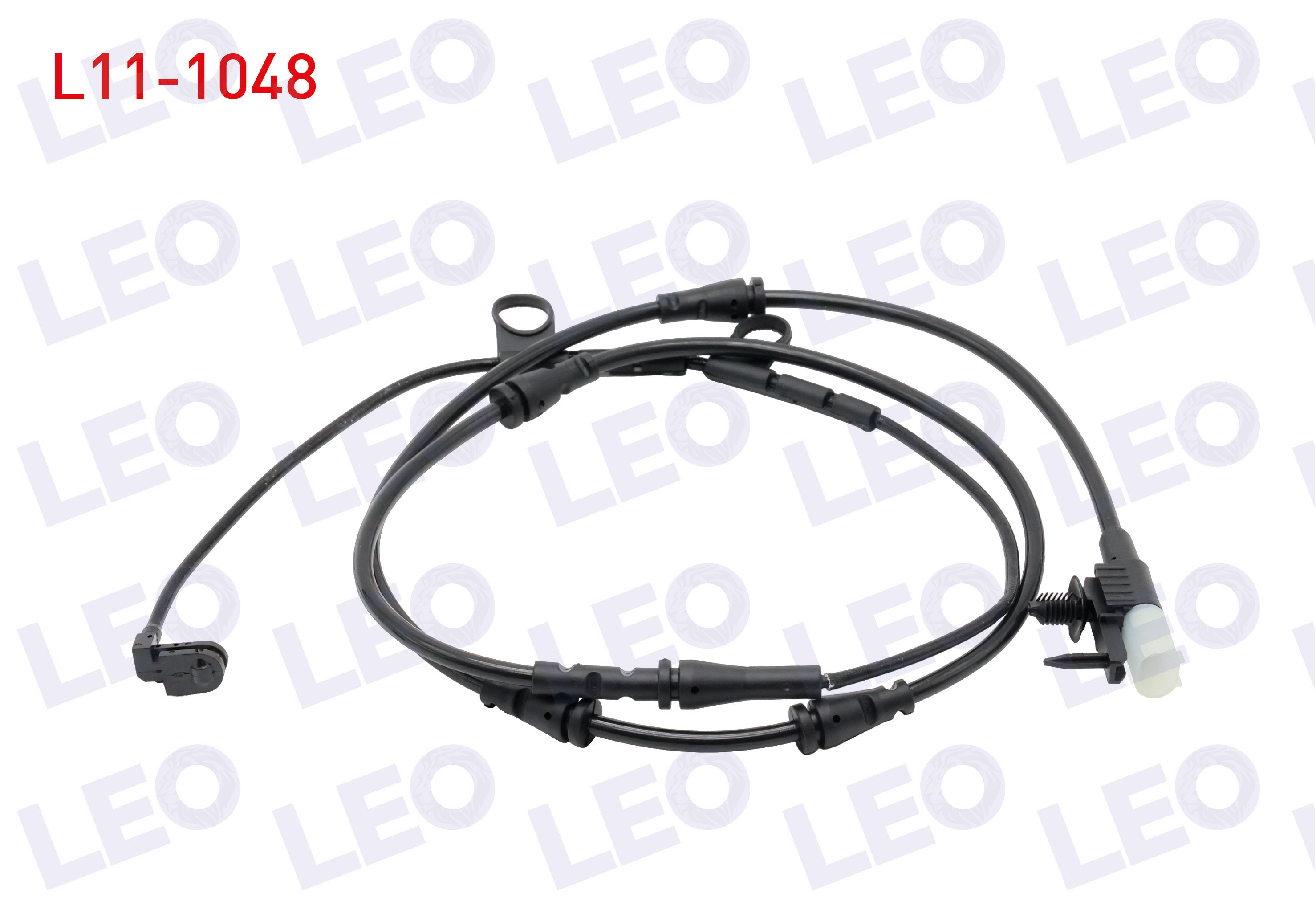 LEO 