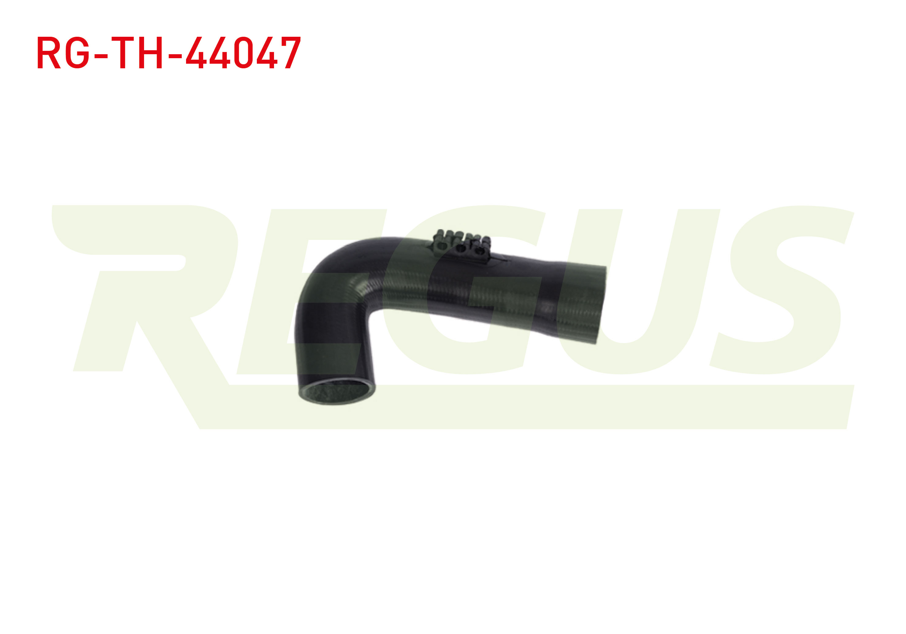 REGUS 