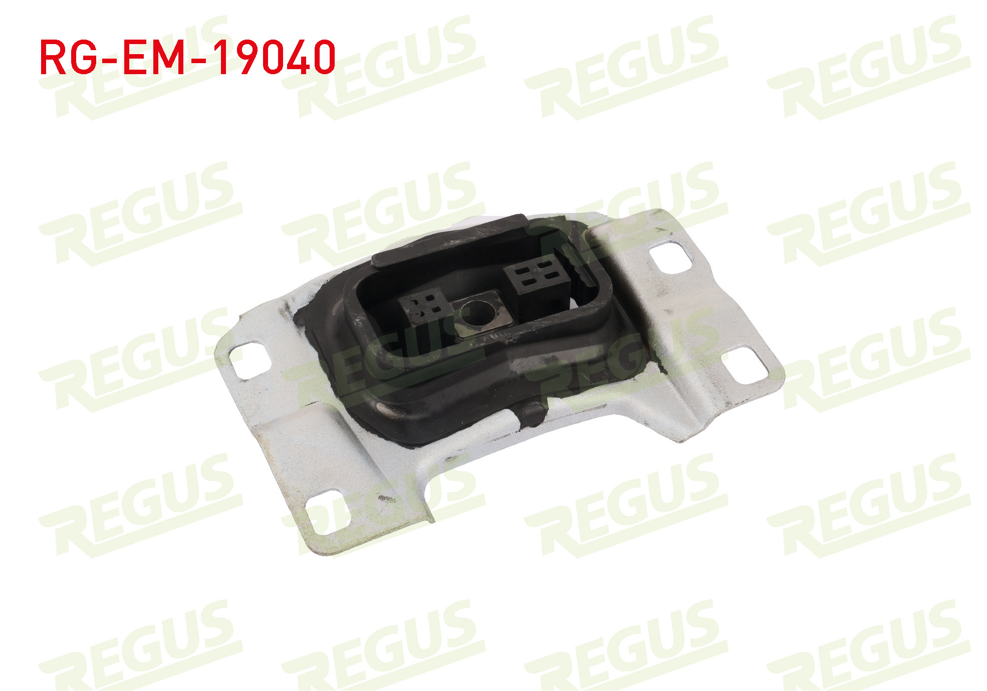 REGUS 61-10885