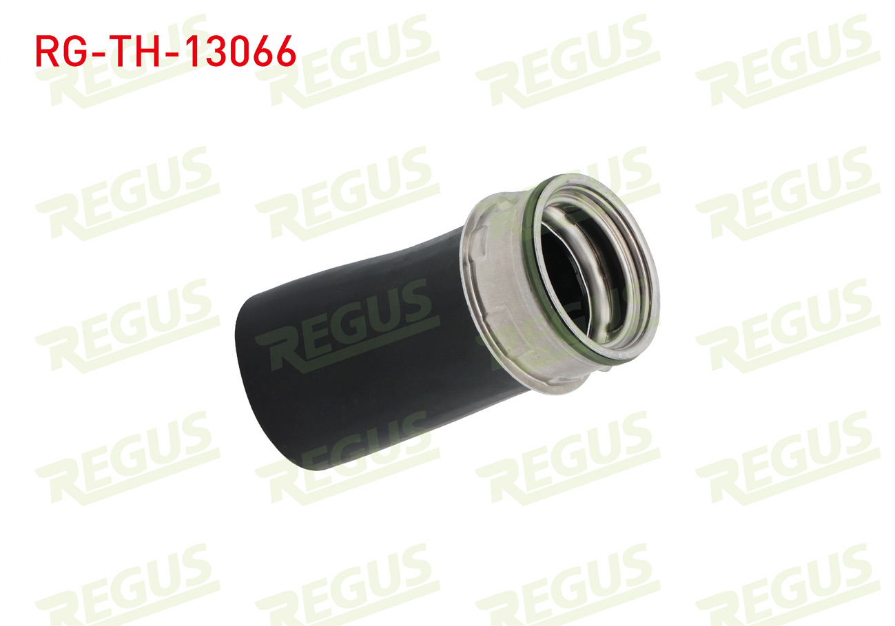 REGUS 