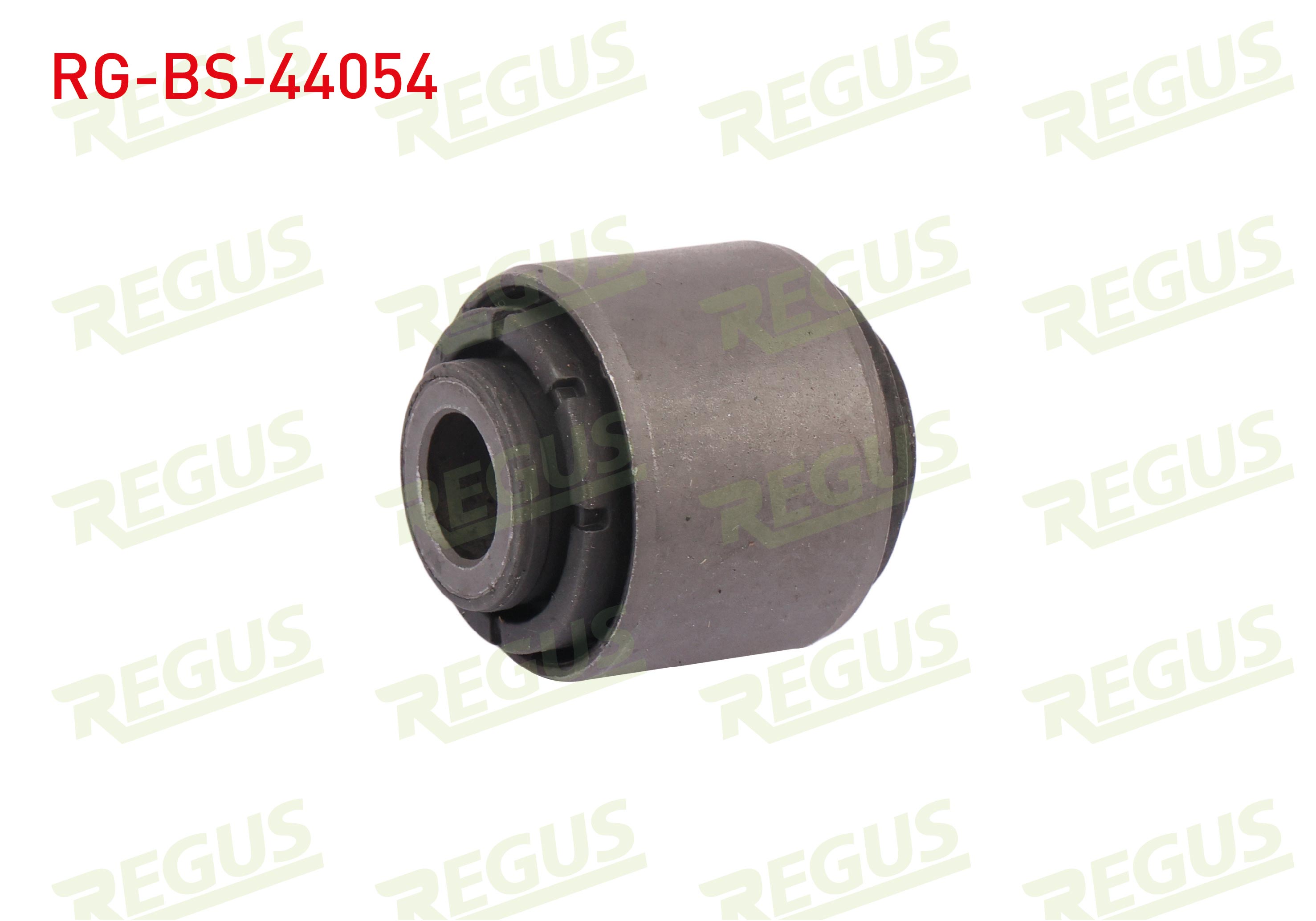 REGUS 29921 01