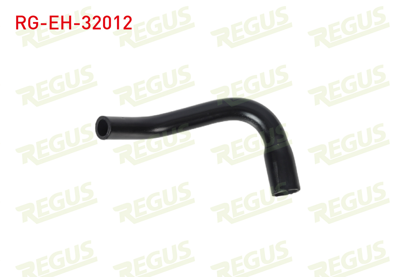 REGUS 21298