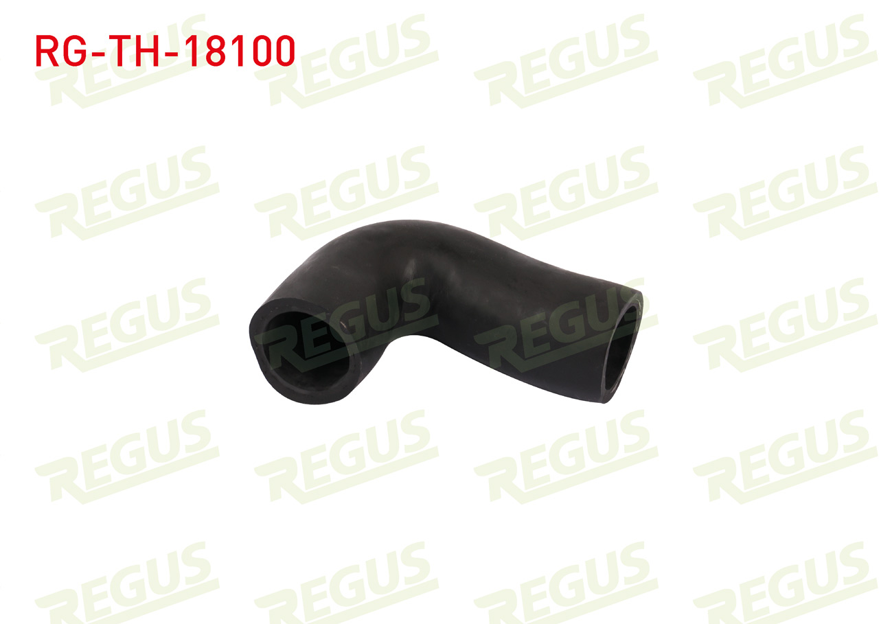 REGUS 