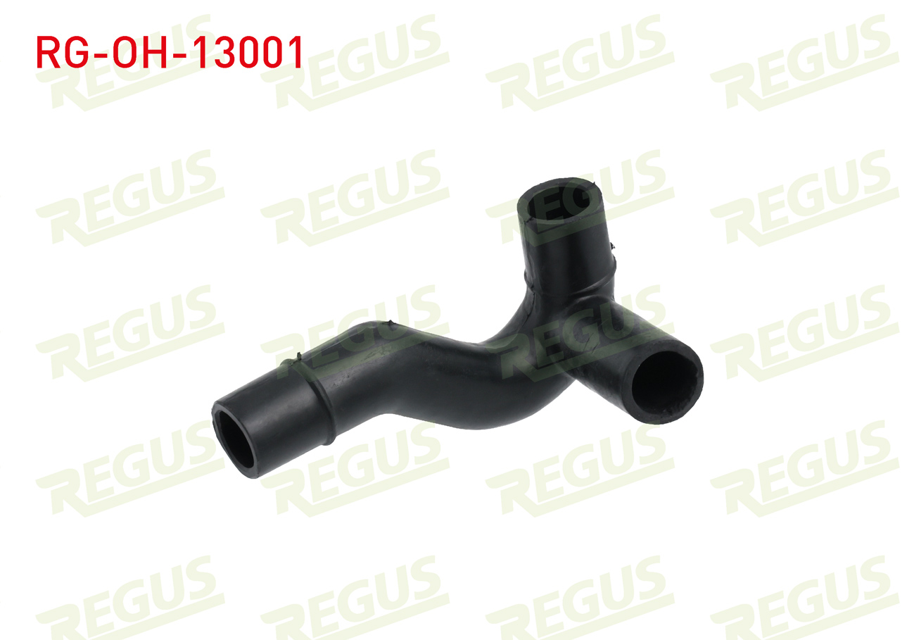 REGUS 27620