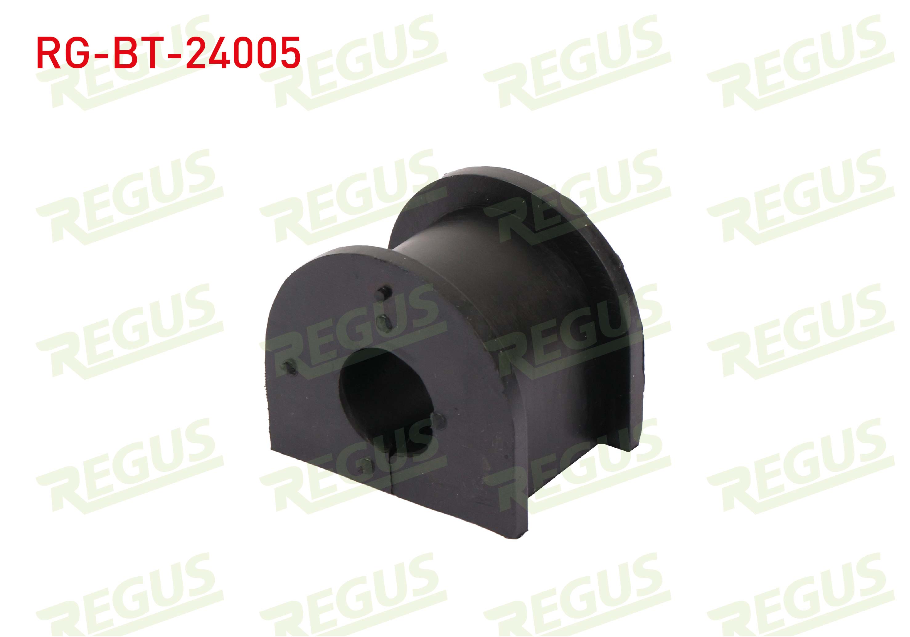REGUS 65-13918