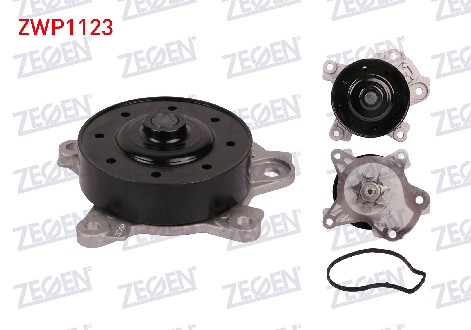 ZEGEN 987646