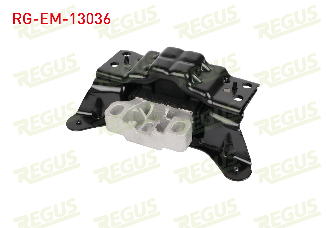 REGUS 62-11154