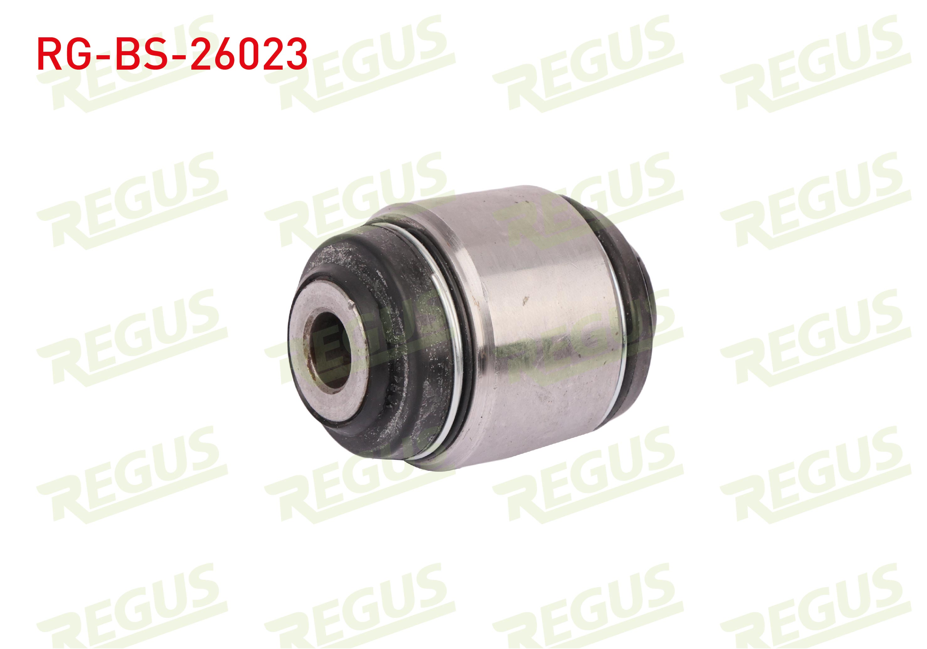 REGUS 64-11479