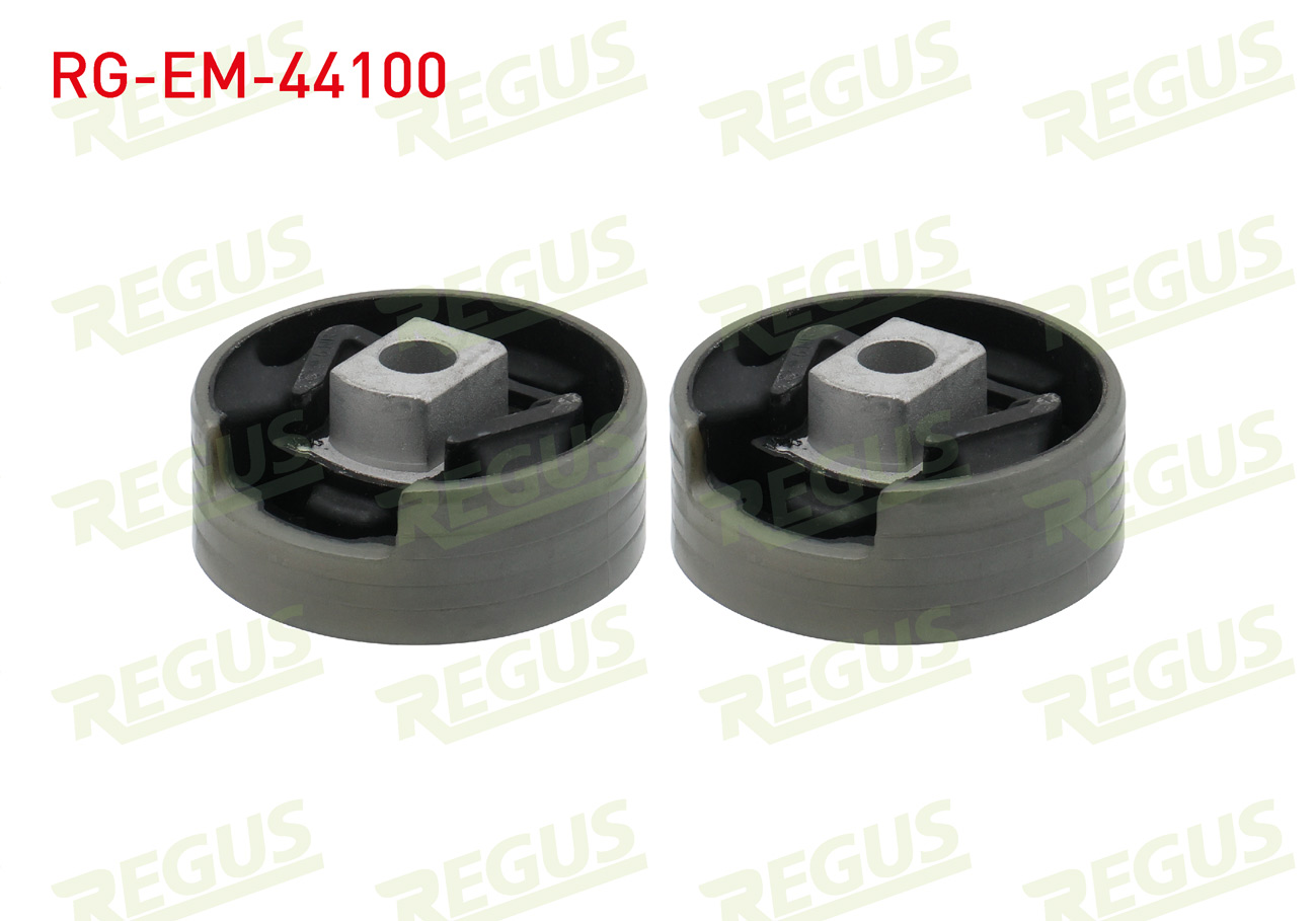 REGUS 