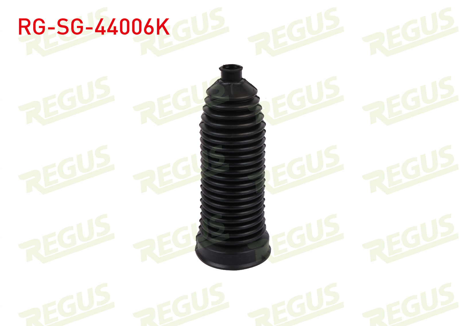 REGUS 