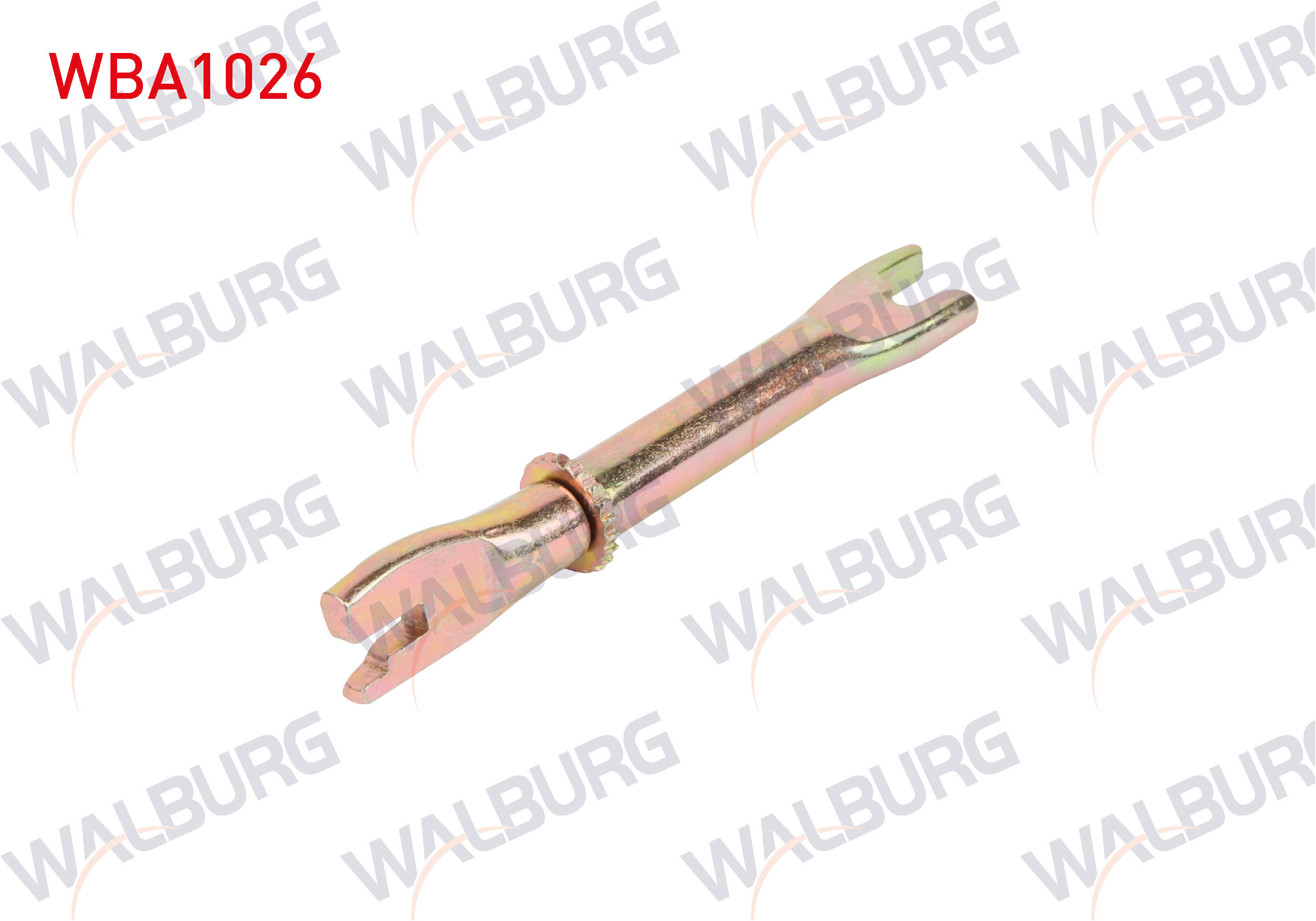 WALBURG 