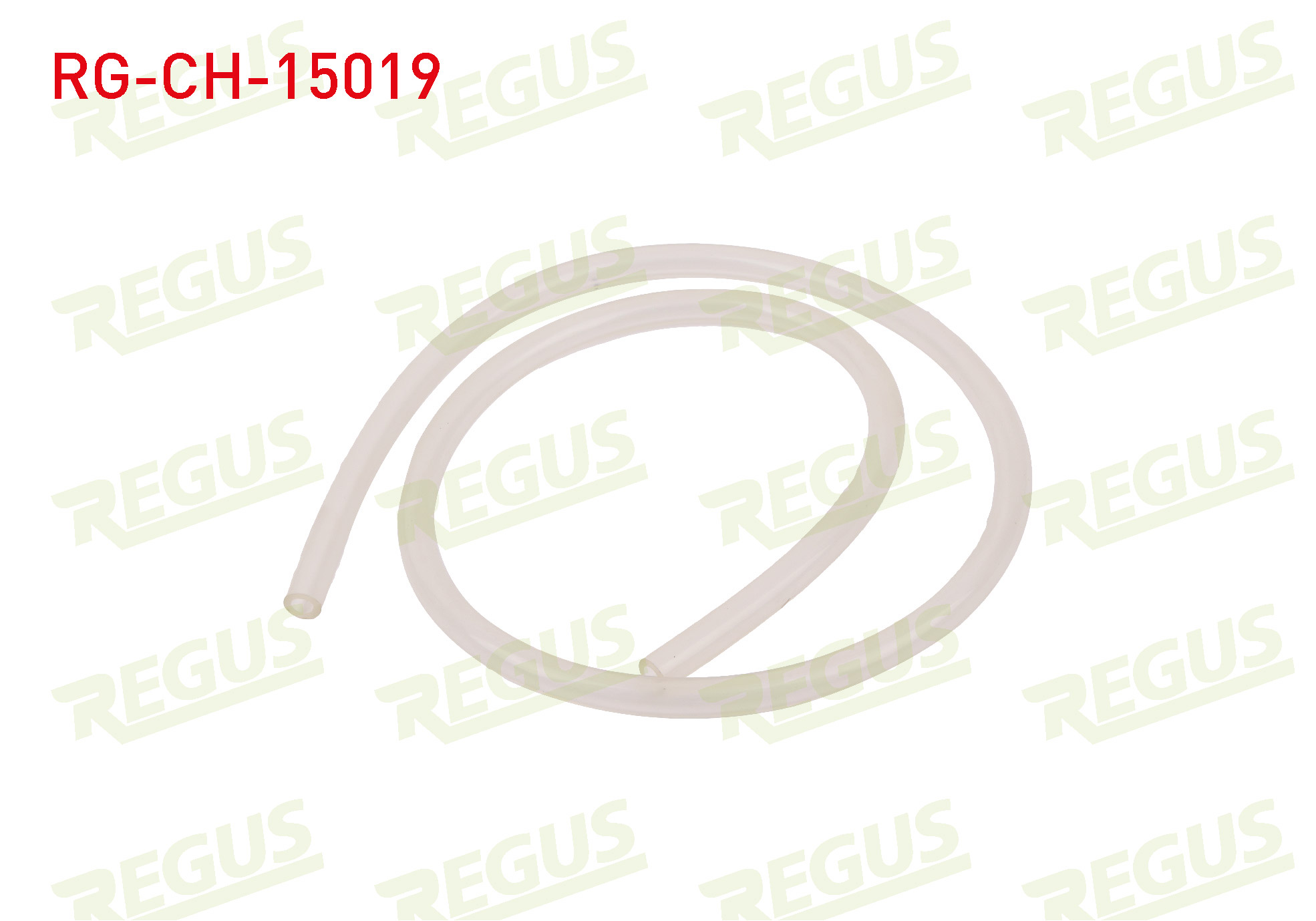 REGUS 17619